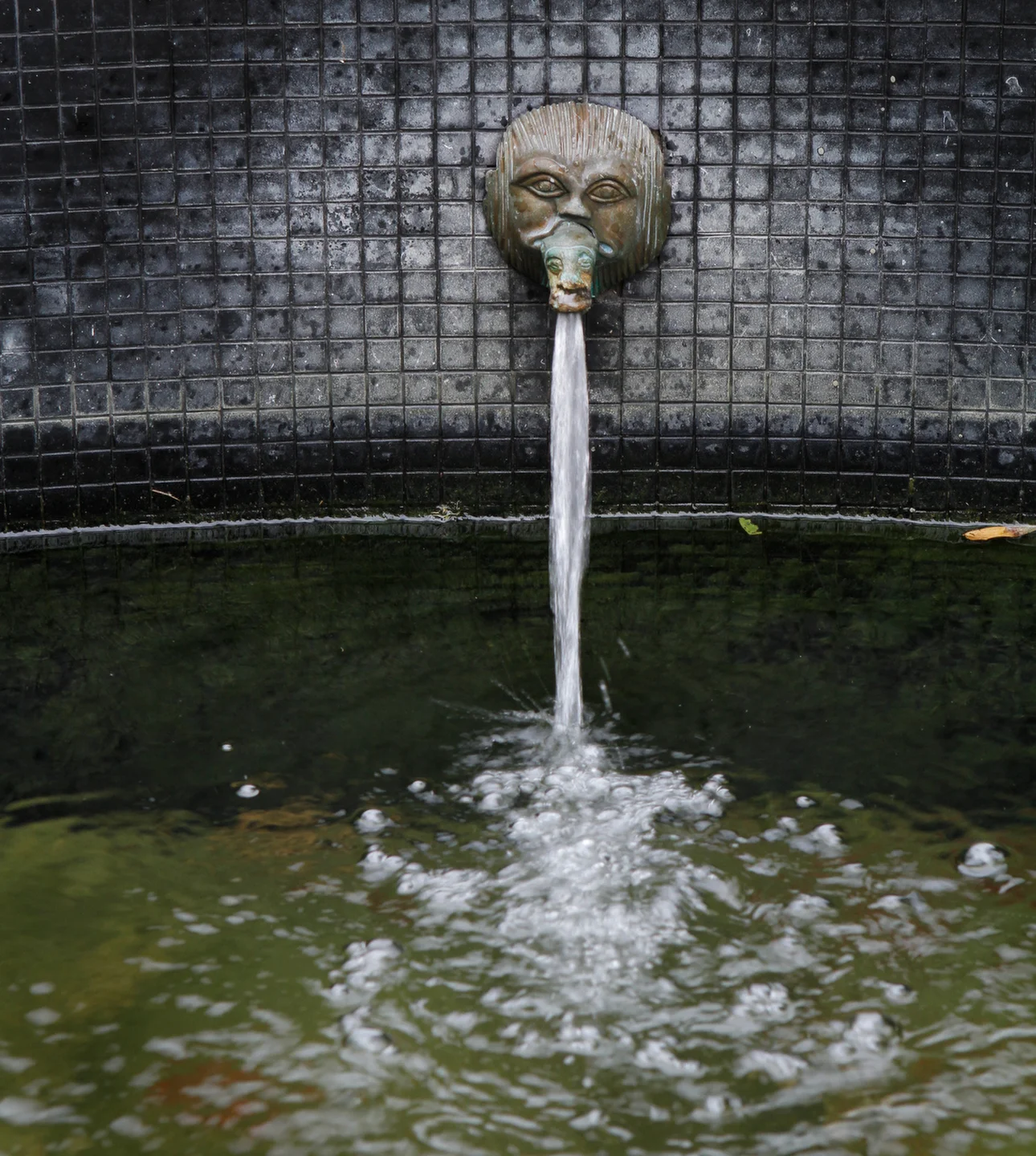 water features, tile coping, other options