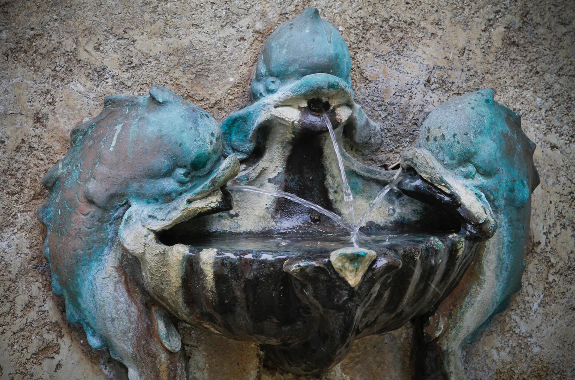 water features, other options