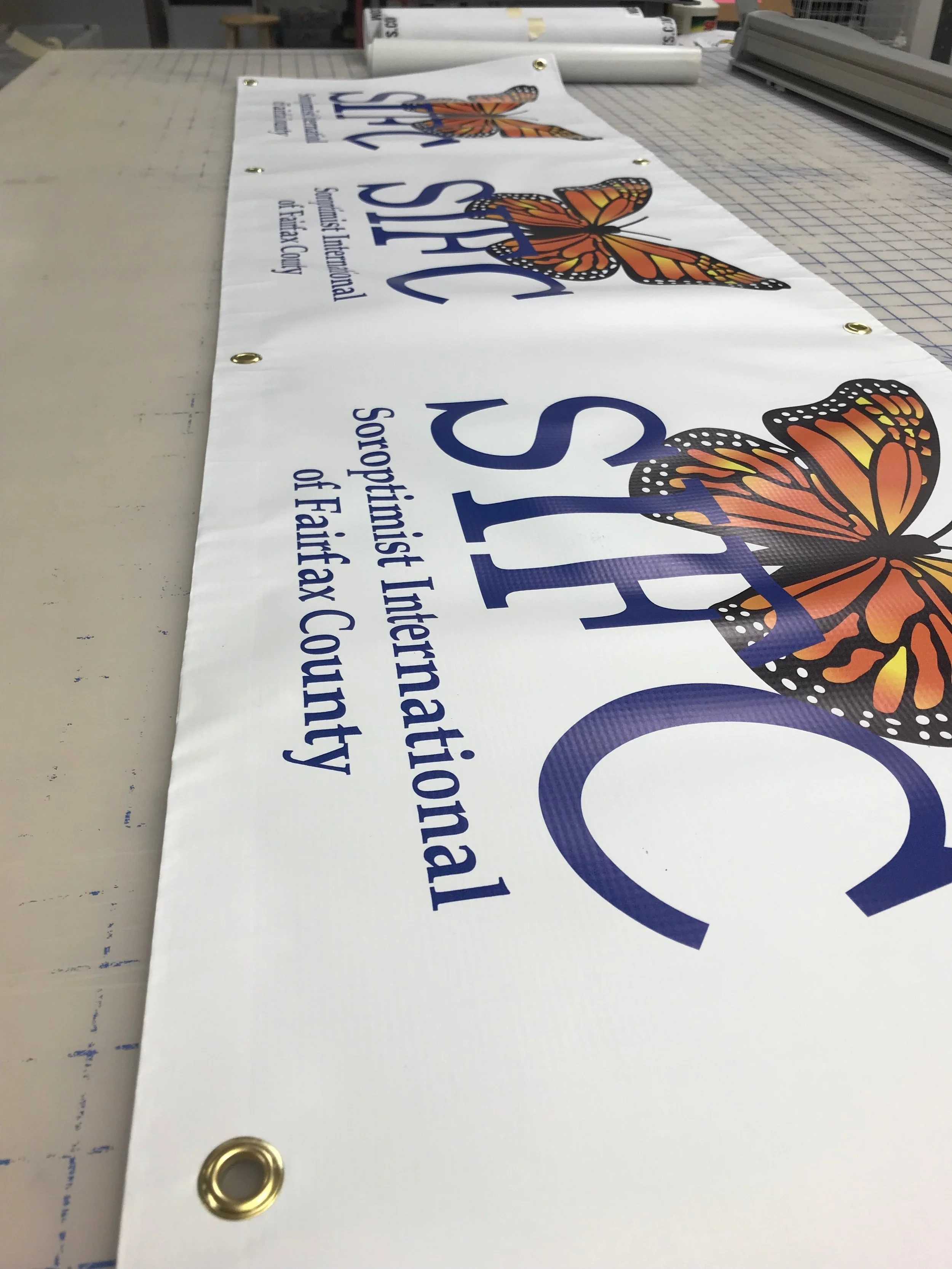 SIFC Banner pic.JPG