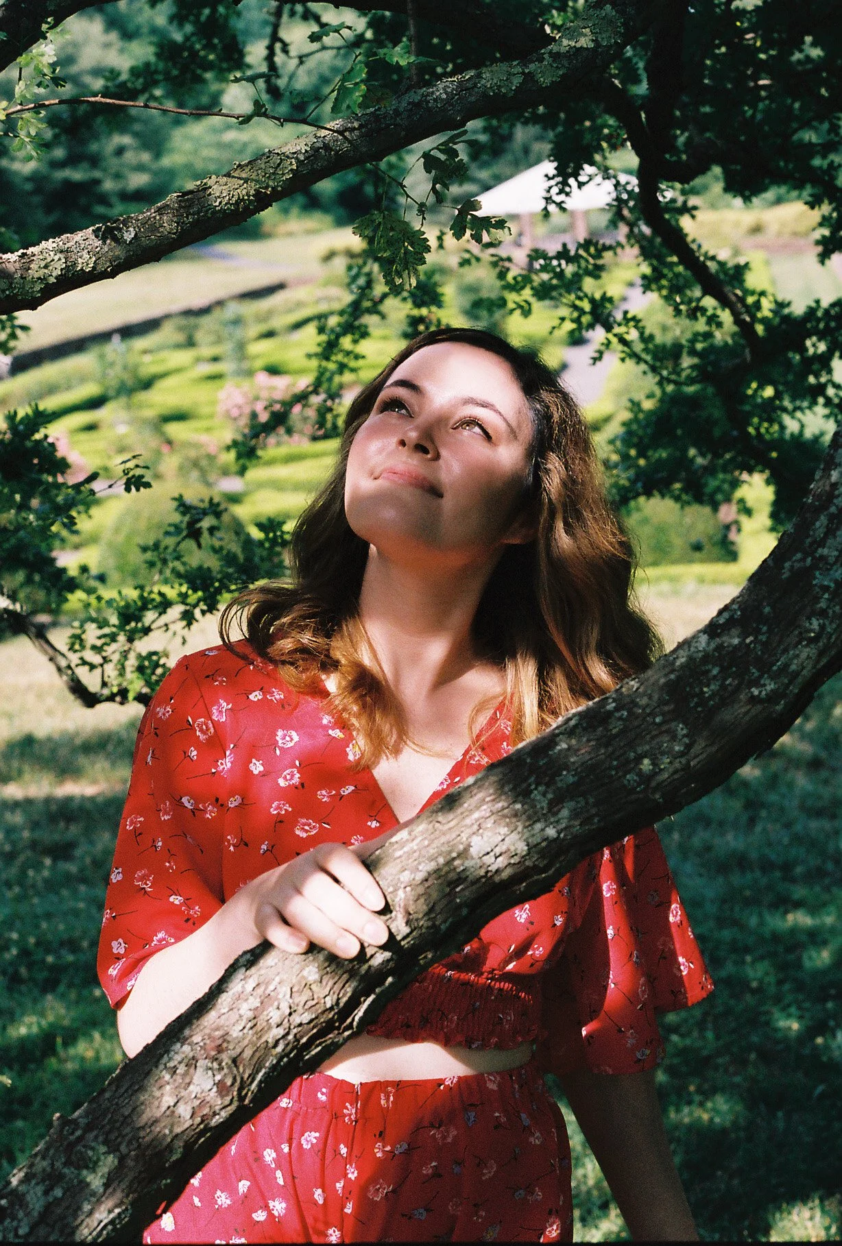 lindsay tree branch.jpg