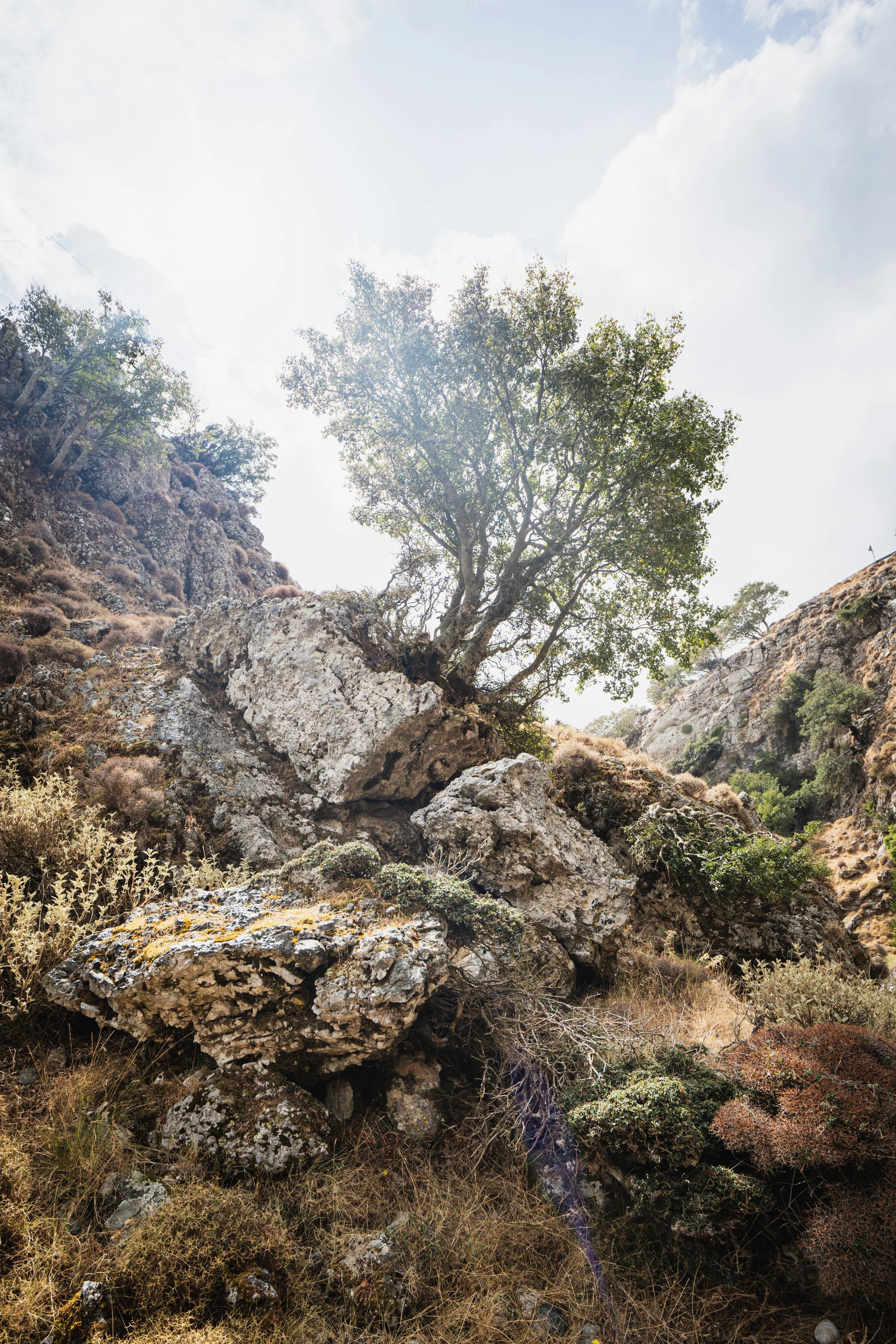 Gorgehike-3.jpg