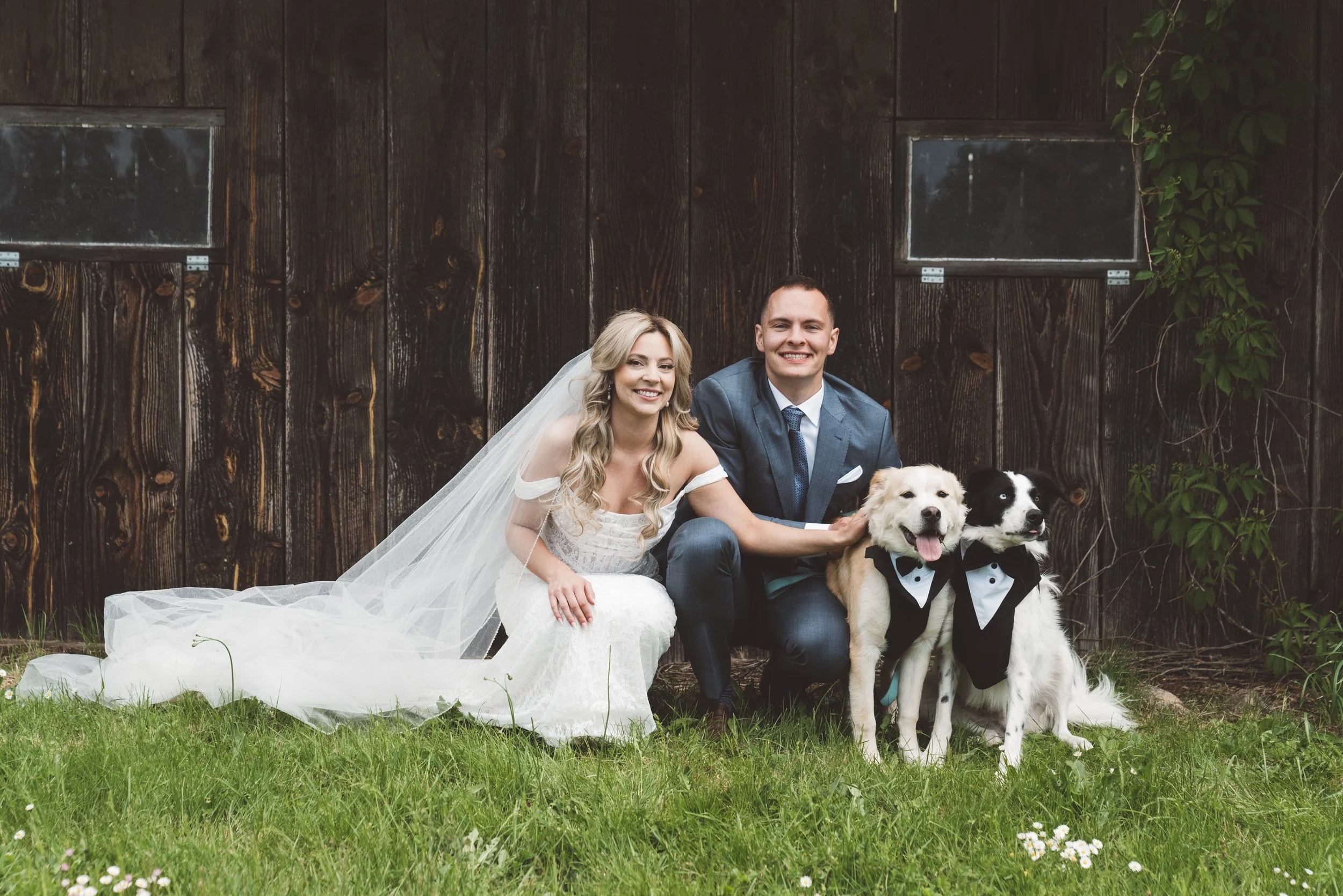 A bride and a groom with their two dogs on the couple's wedding day