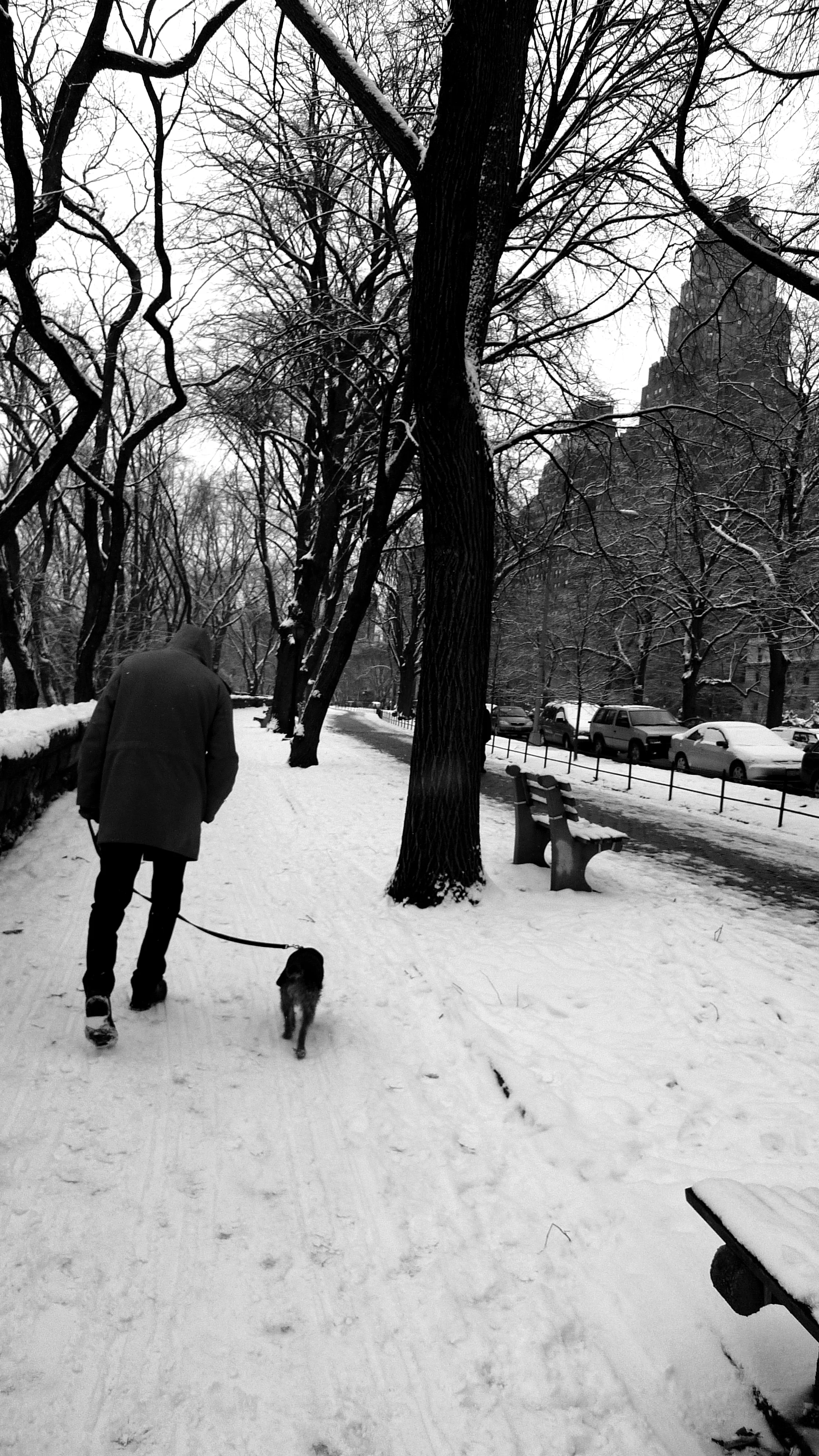 peter and porter.JPG