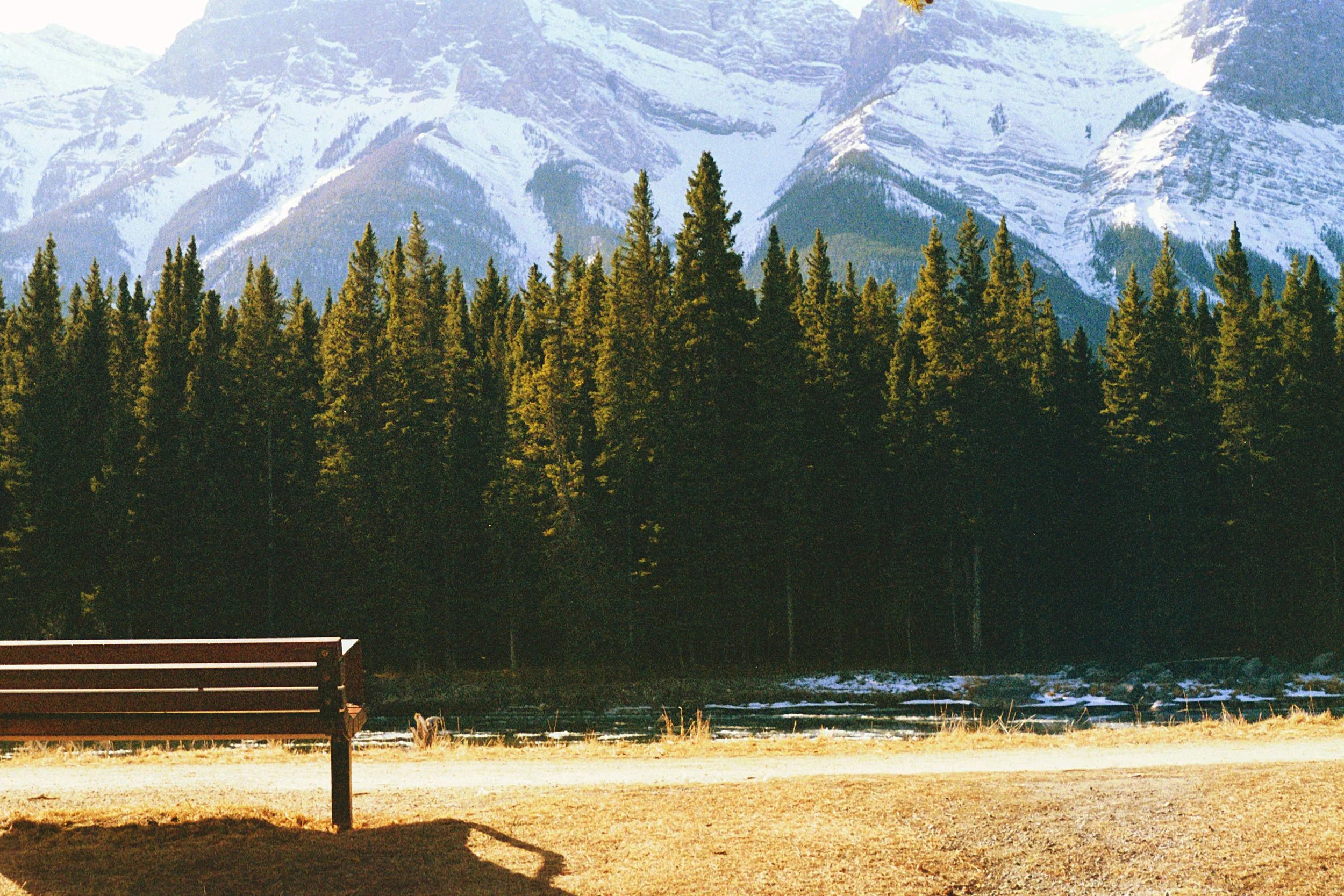 Solitude
