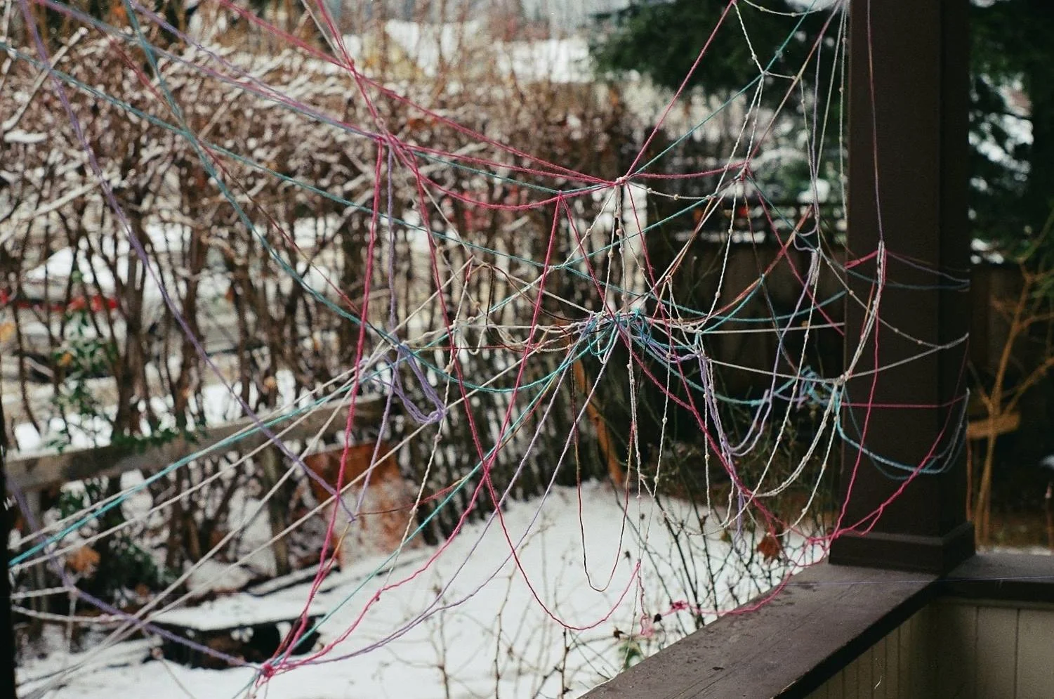 My Front Porch
