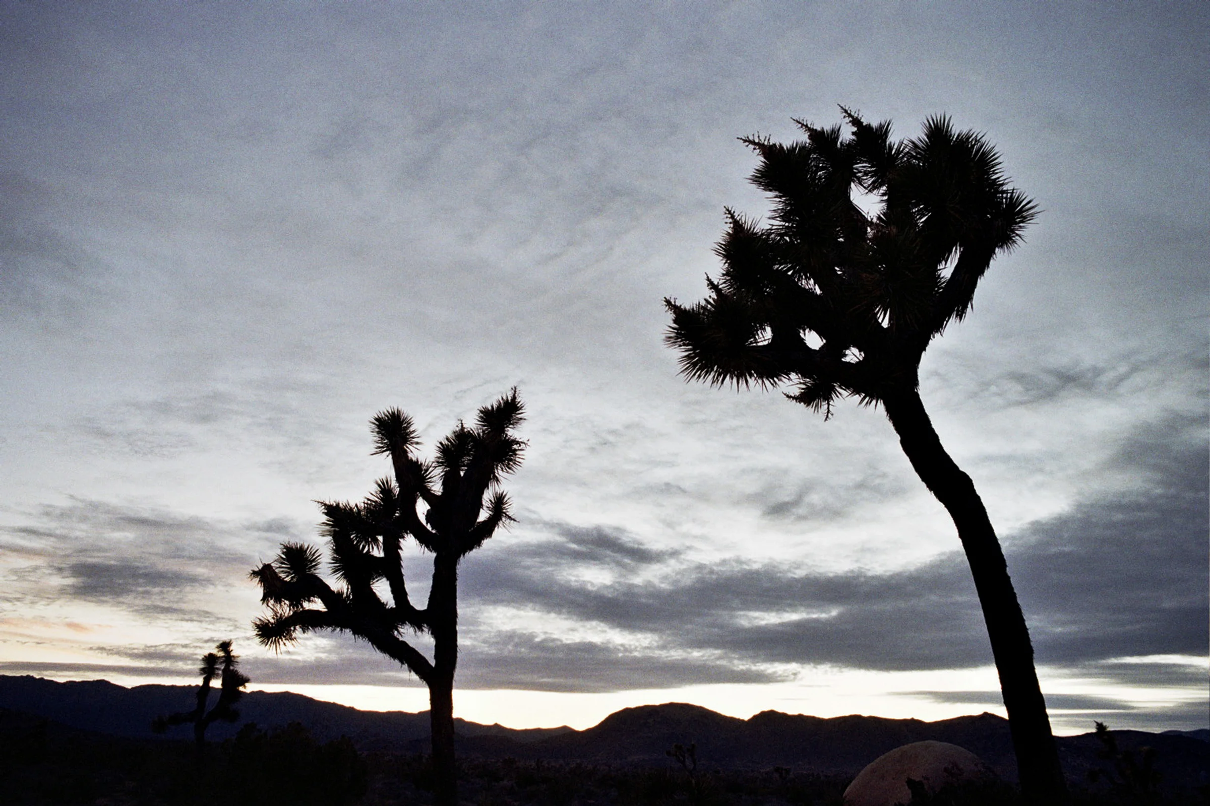 Joshua's Silhouette