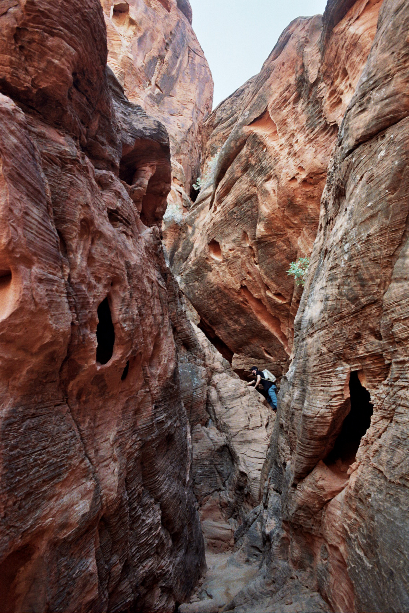 Crevice and Cranny