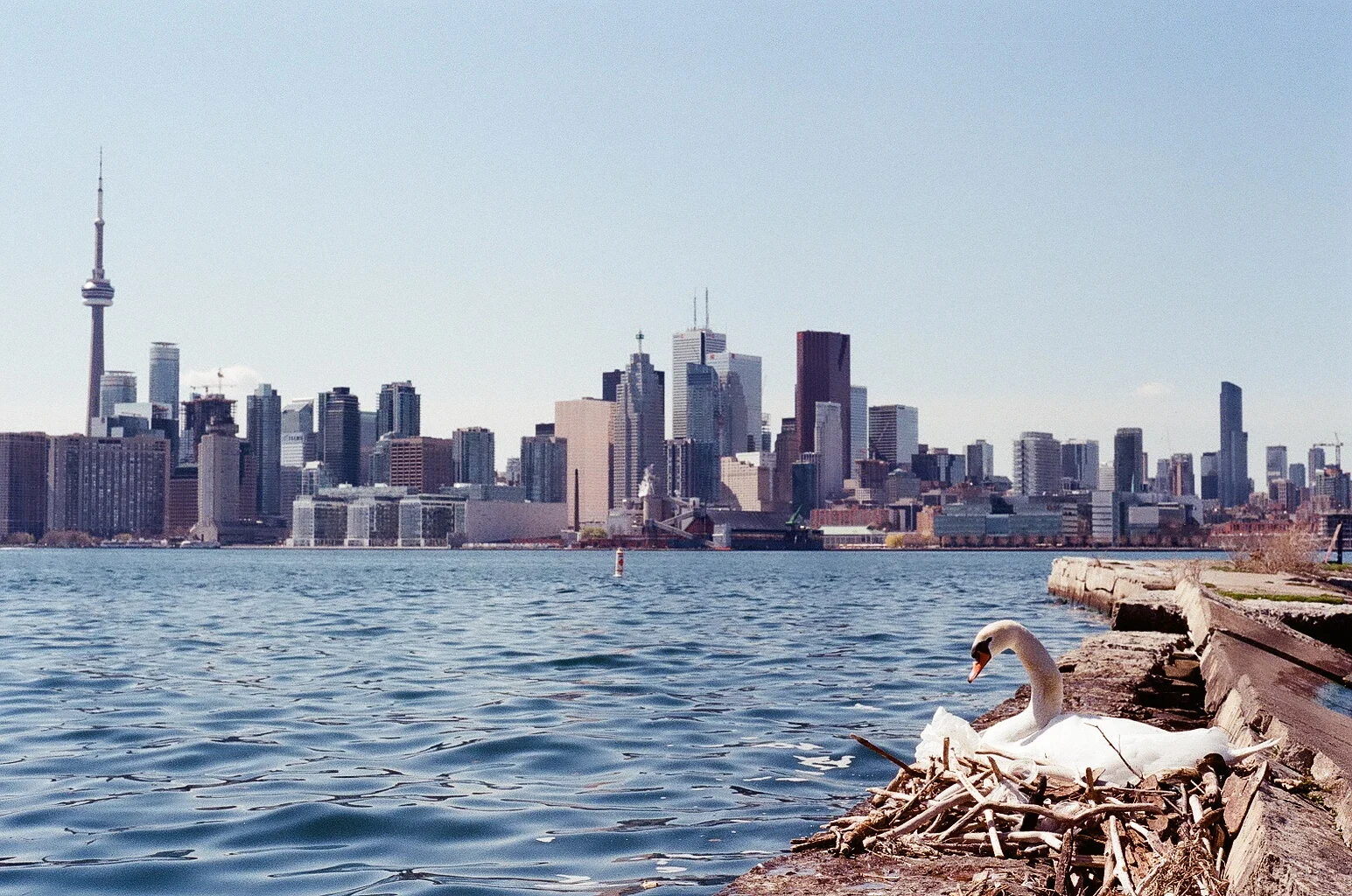 Urban Nature