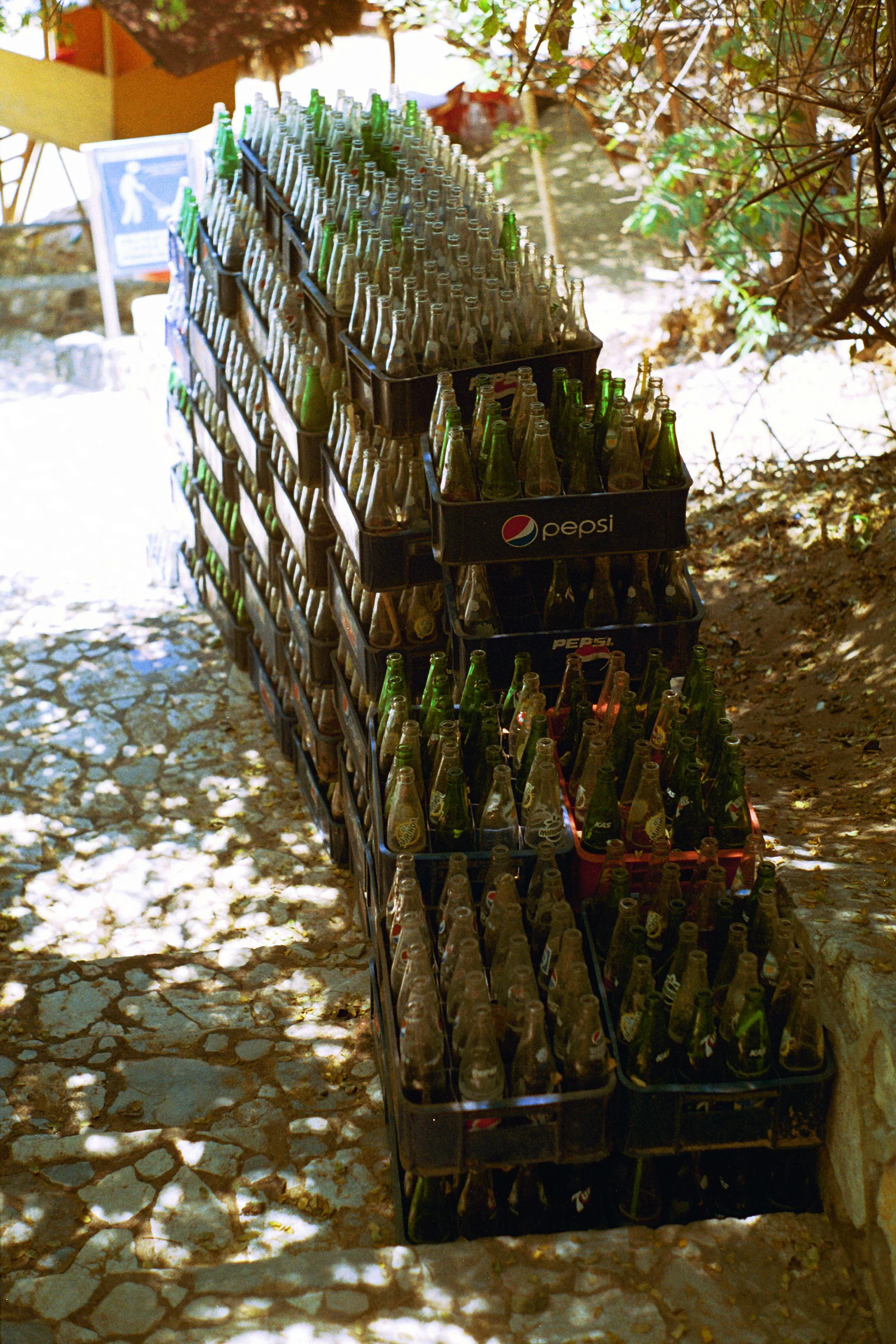 Soda and Shade