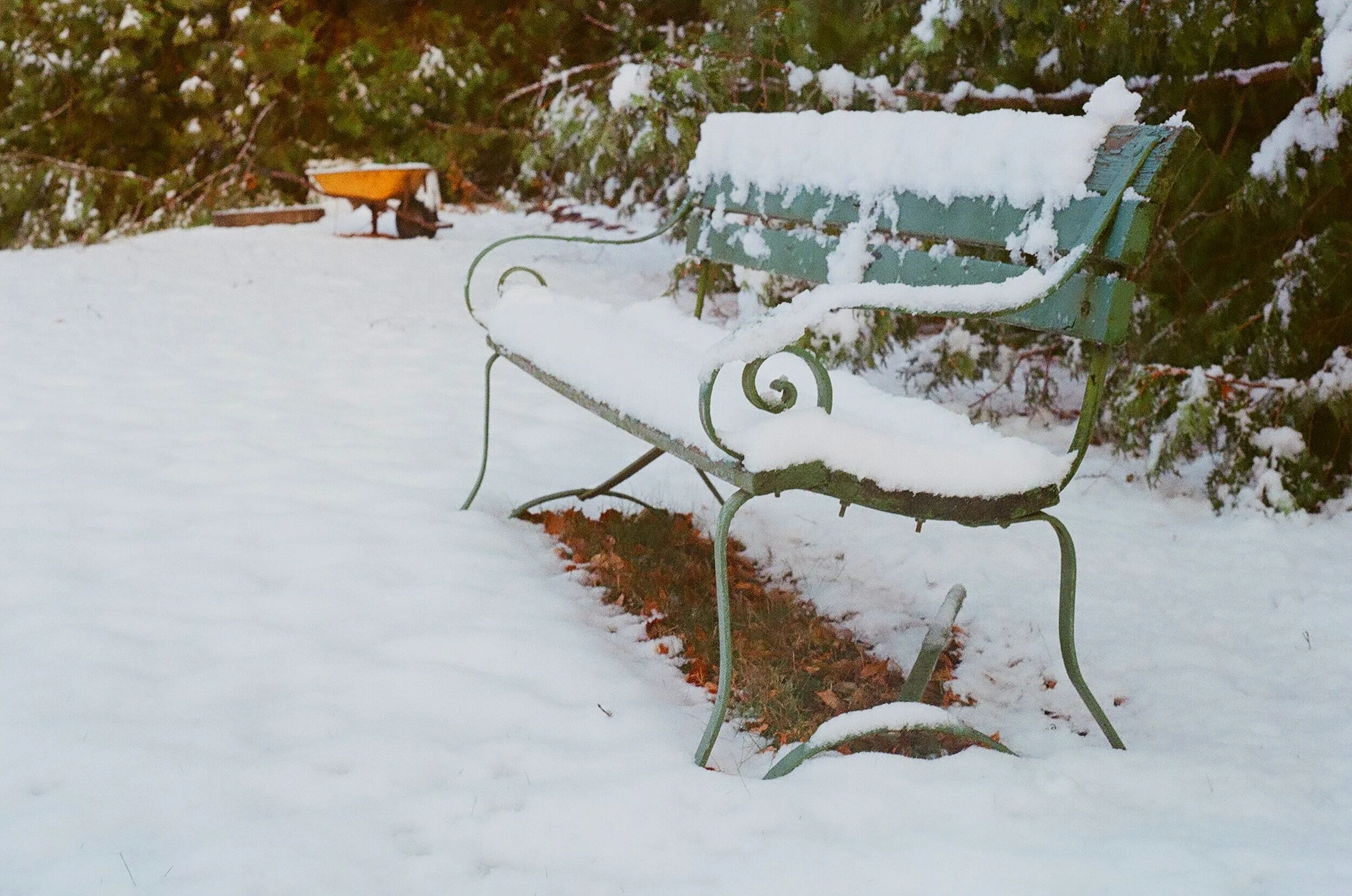  Seasonal Leisure  