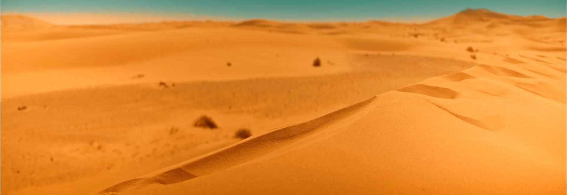close dunes.jpg