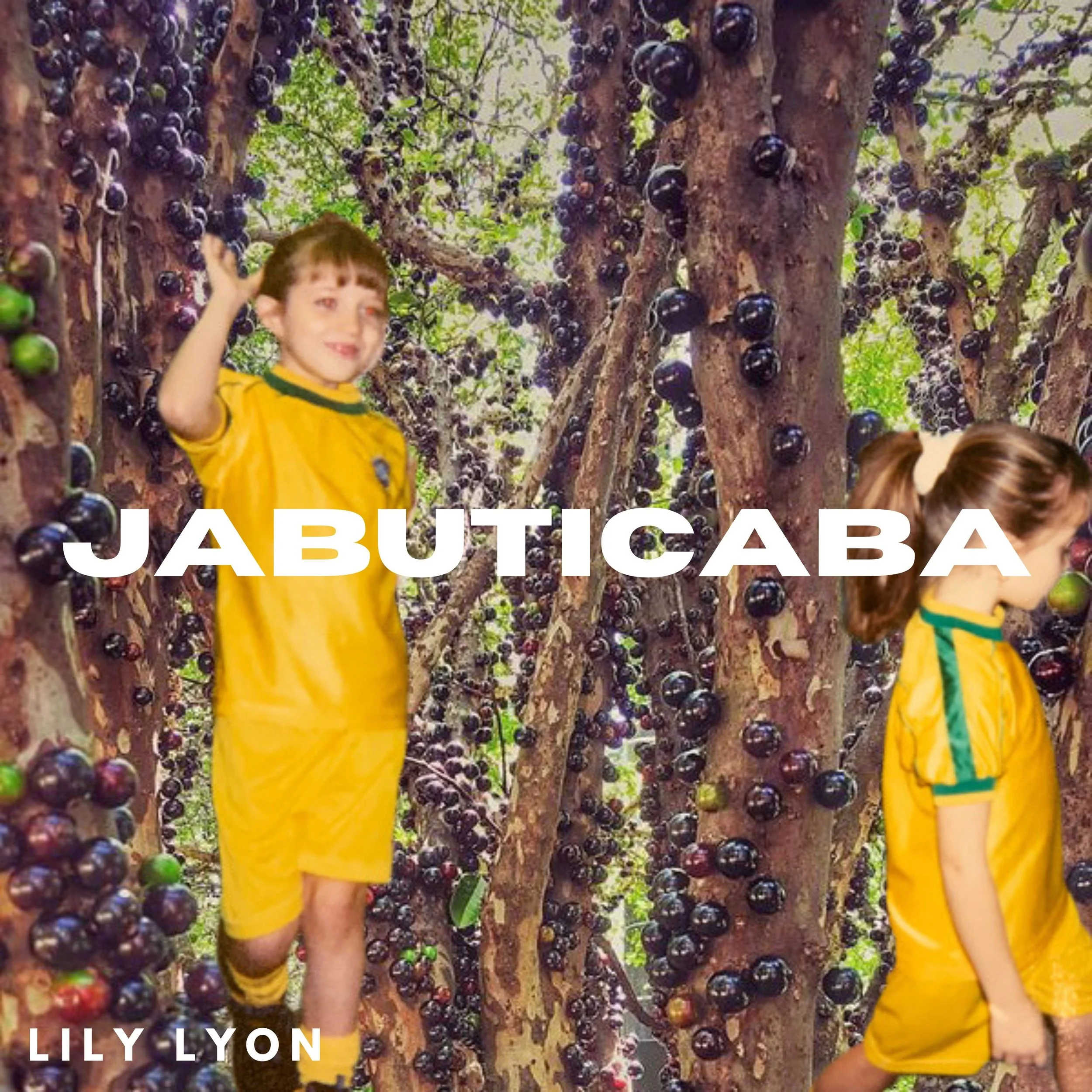 jabucover.jpg