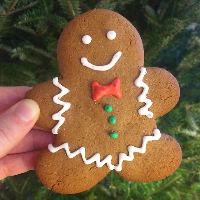 Lucky to have friends like @gatesongraphics who bring me treats from all over the country! ❤👯🎄#DCglutenfree