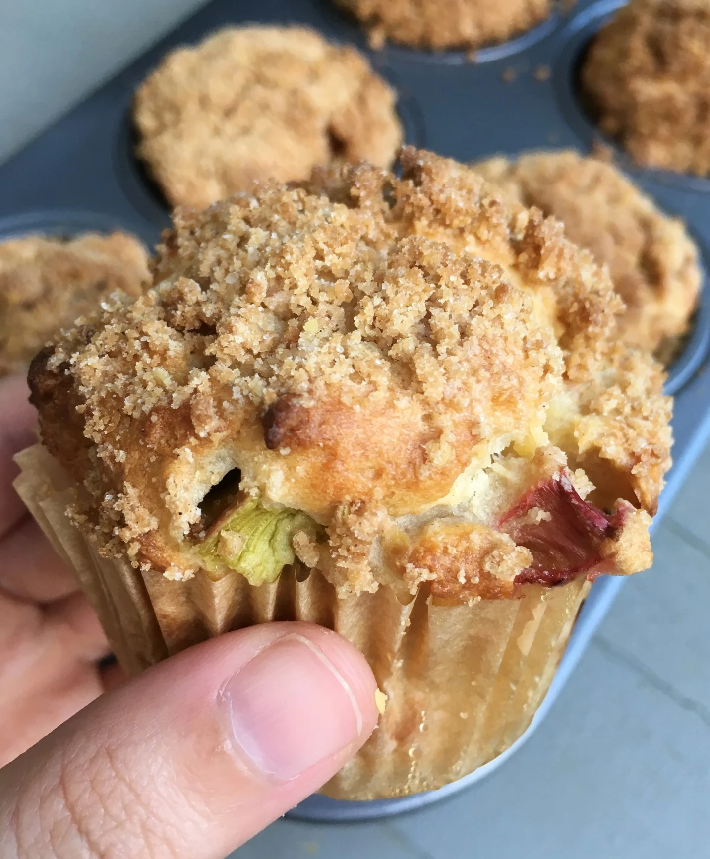 Rhubarb Crumb Muffins