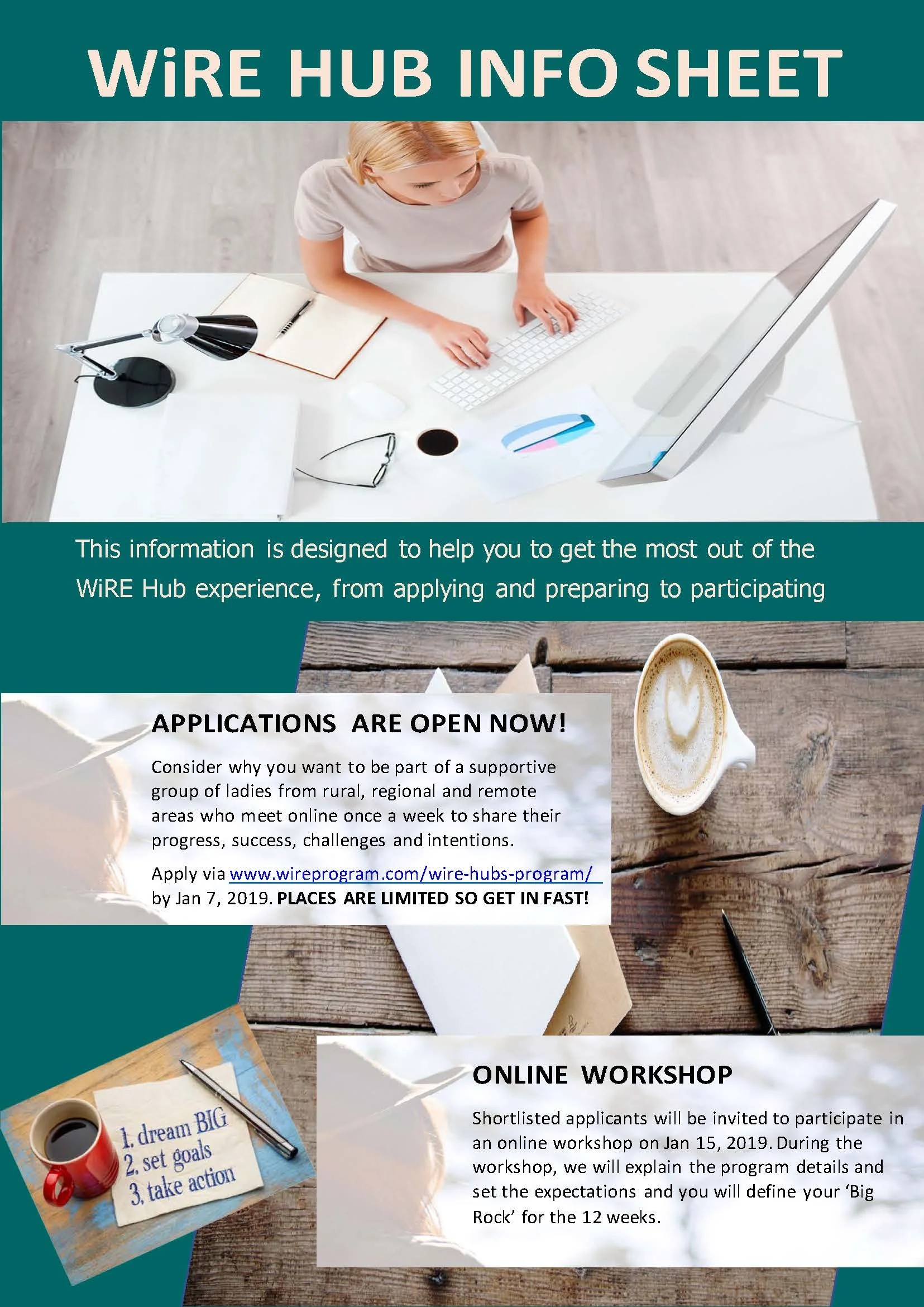 WiRE_HubProgram_Spring2018_Infographic v4_Page_1.jpg
