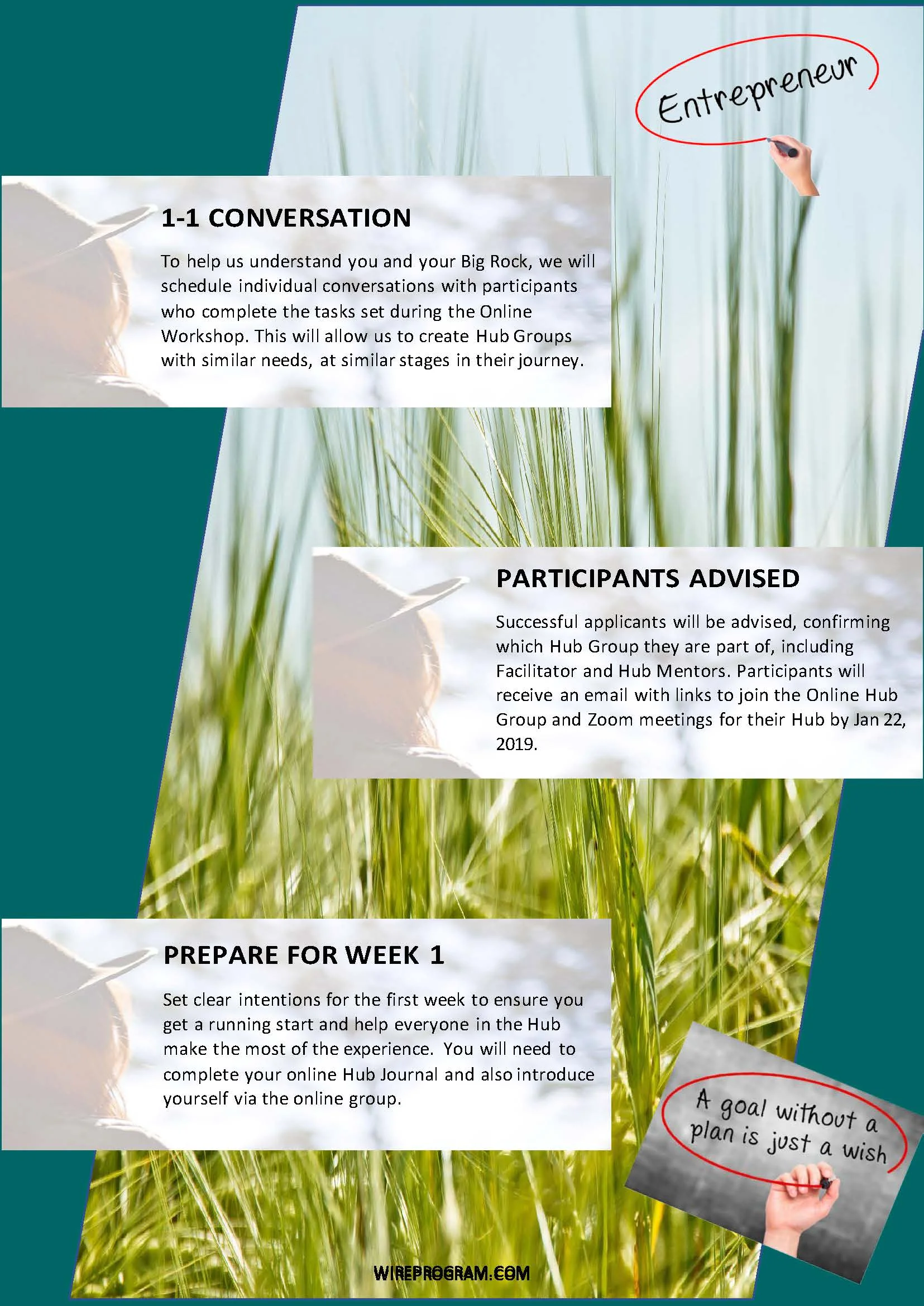 WiRE_HubsProgram_Spring2018_Infographic v4_Page_2.jpg