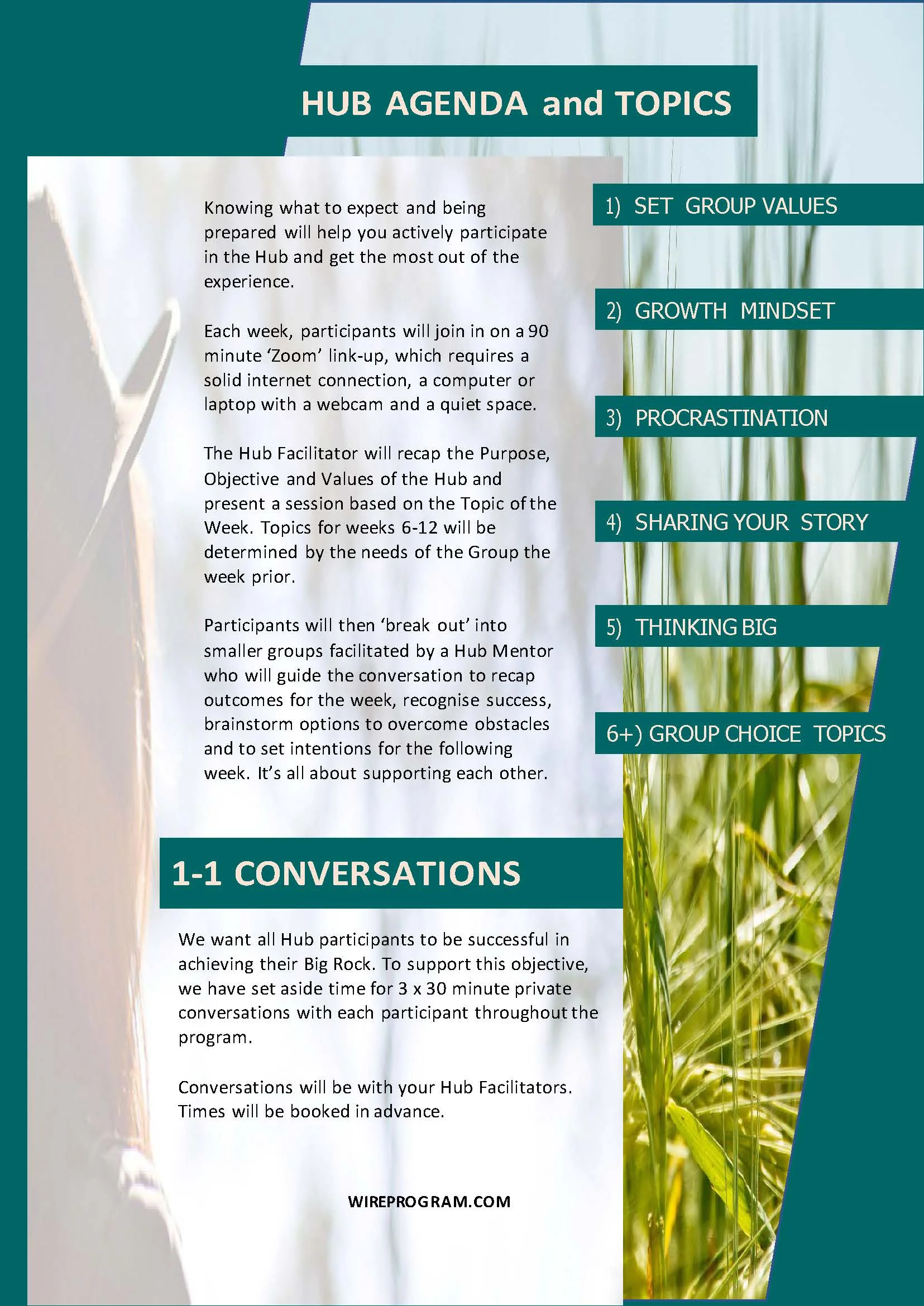 WiRE_HubsProgram_Spring2018_Infographic v4_Page_3.jpg