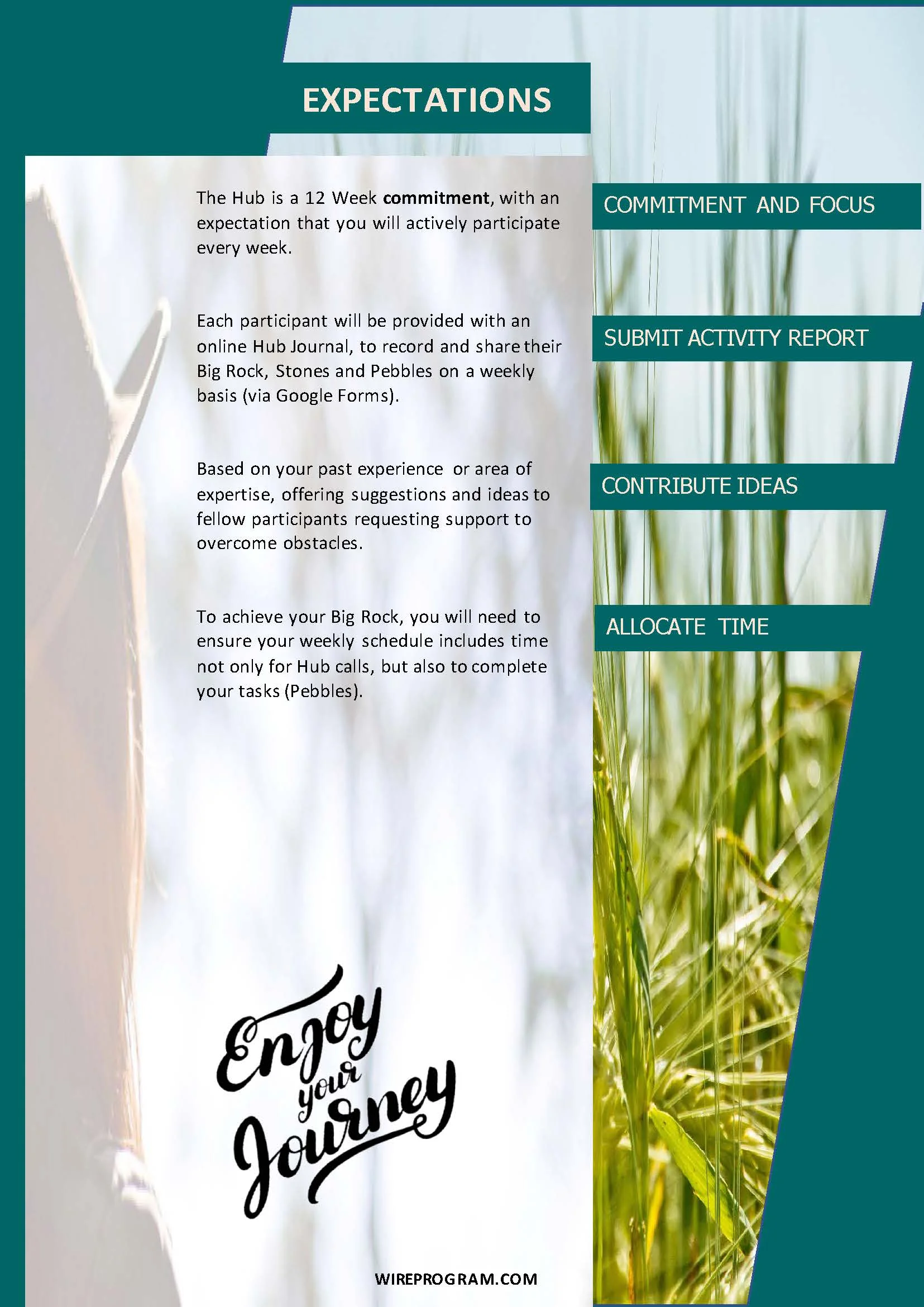 WiRE_HubsProgram_Spring2018_Infographic v4_Page_4.jpg