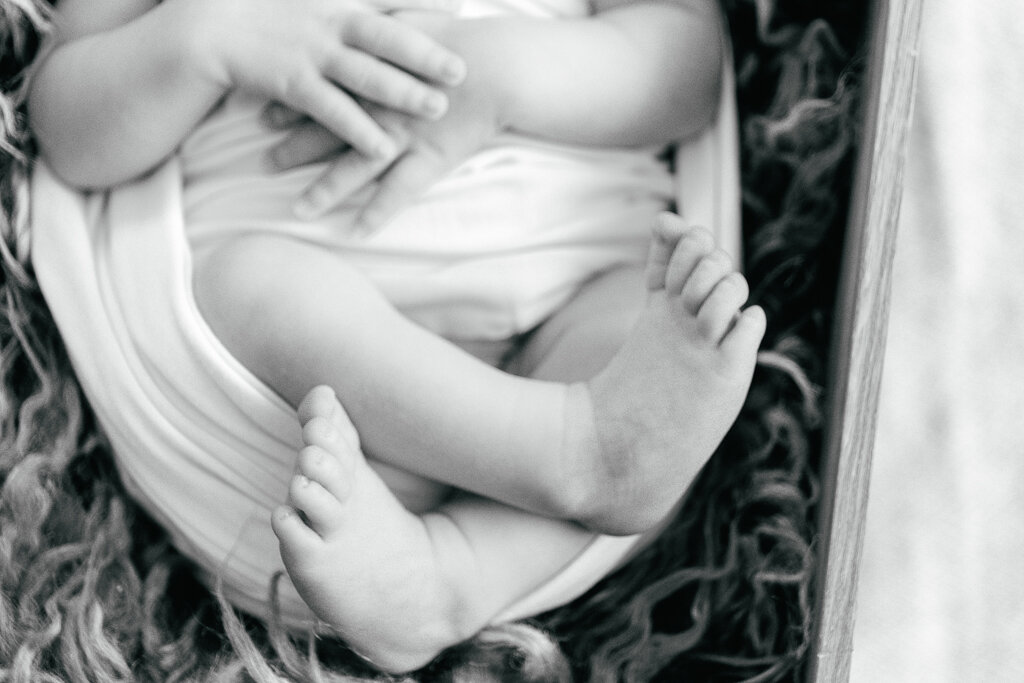 Kyra Ann Photography Newborn Photography