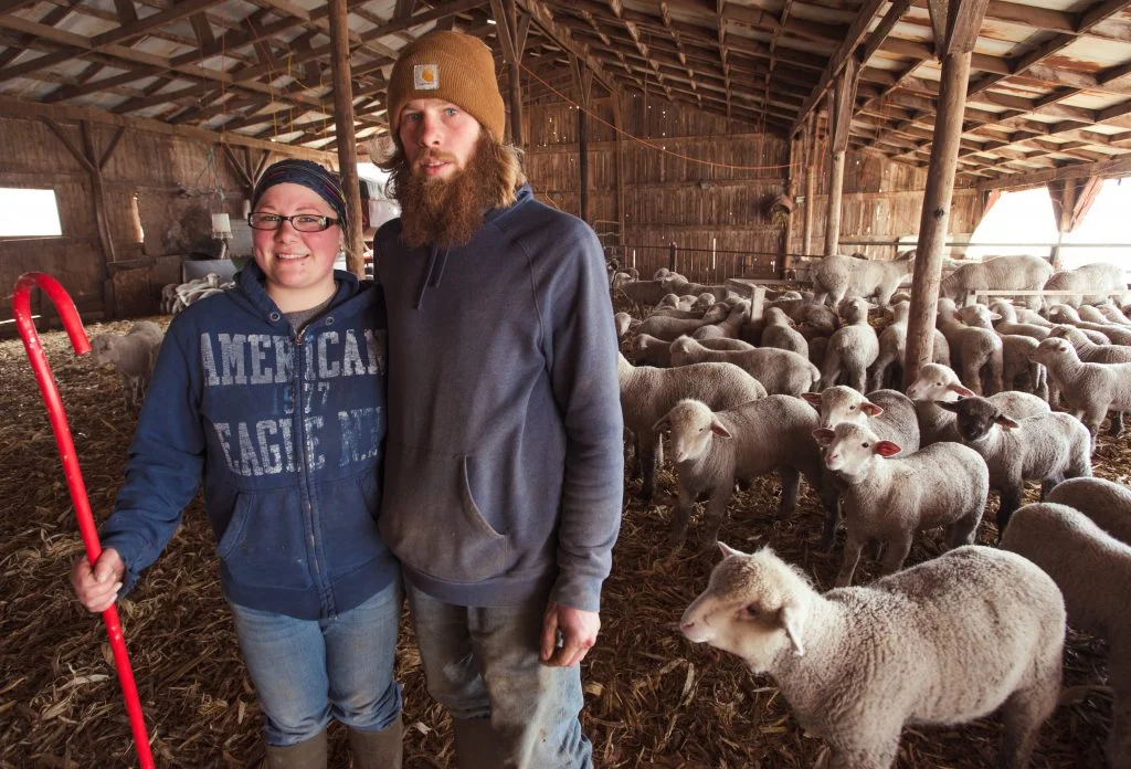 The new shepherds on the block