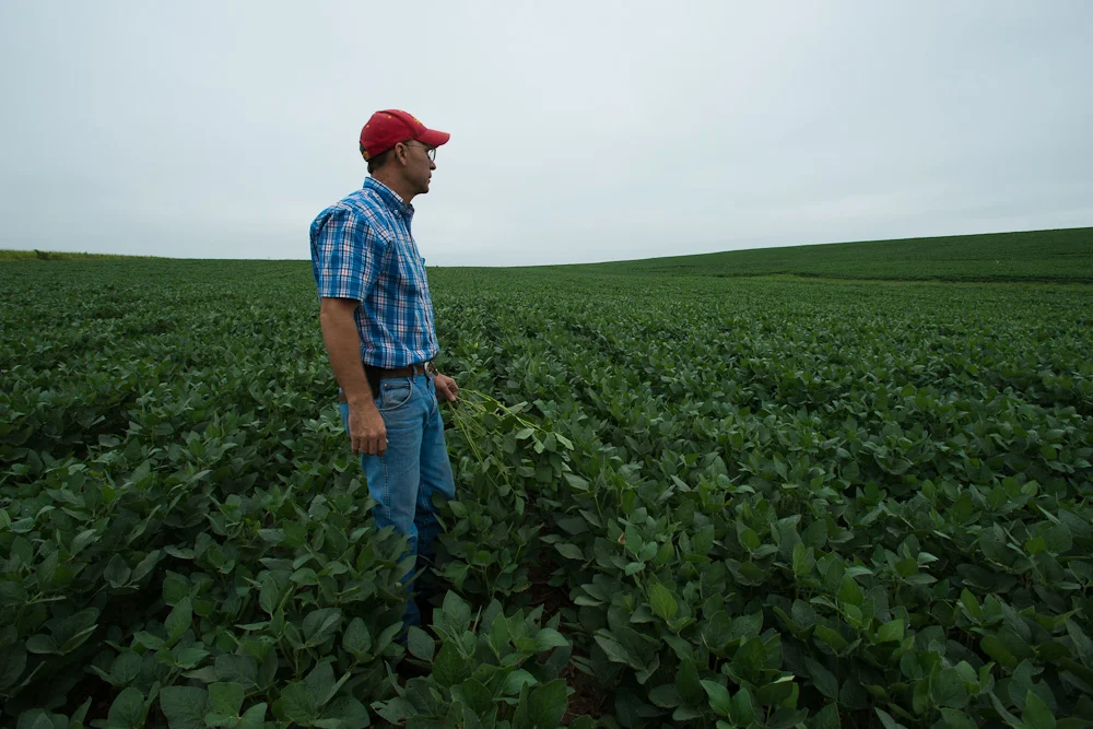 Don Swanson peers to the horizon as grey skies fill the area. Drought conditions have taken hold across much of Iowa.&nbsp;