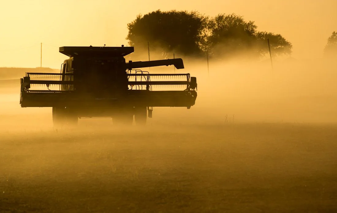 A combine turns while harvesting soybeans as dust from a nearby gravel road settles across the field.