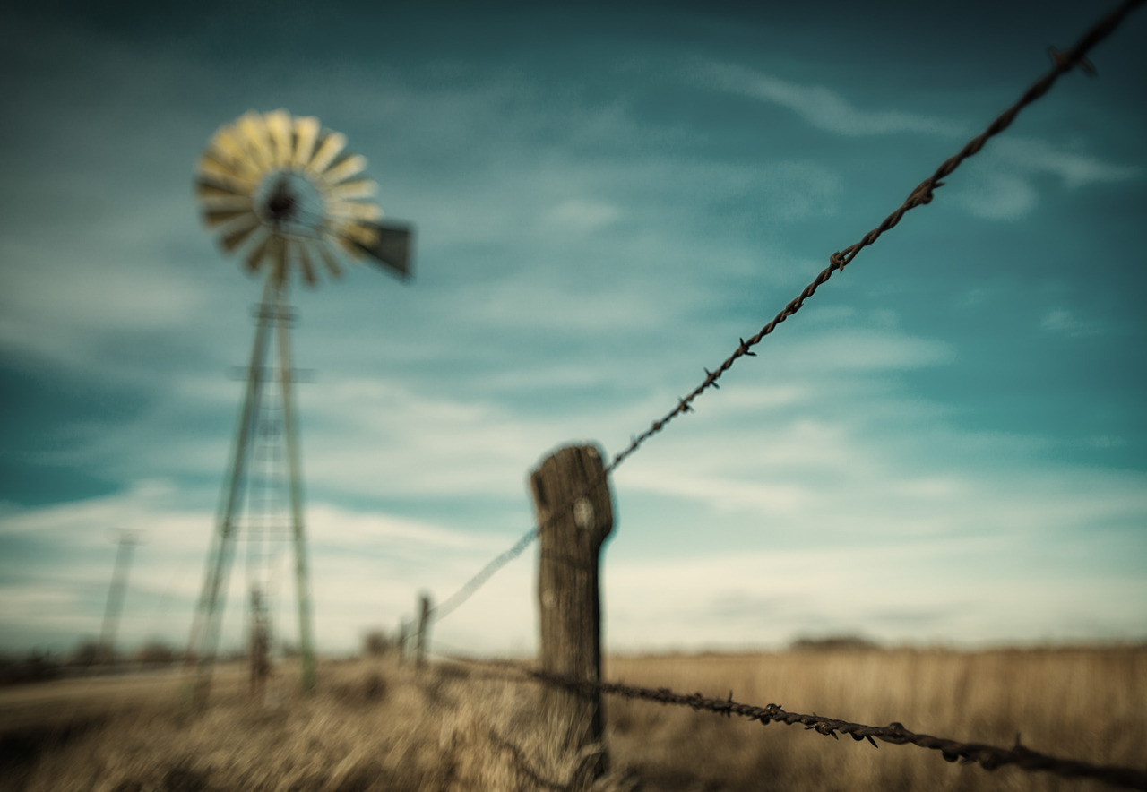 A windmill reflects the late autumn sun on a country road near Dallas Center, Iowa.