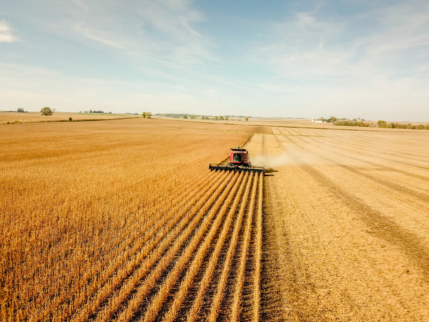 Dave Lubben, Monticello, Iowa, navigates his combine through a soybean field Friday October 20, 2017. (Photo: Joseph L. Murphy)