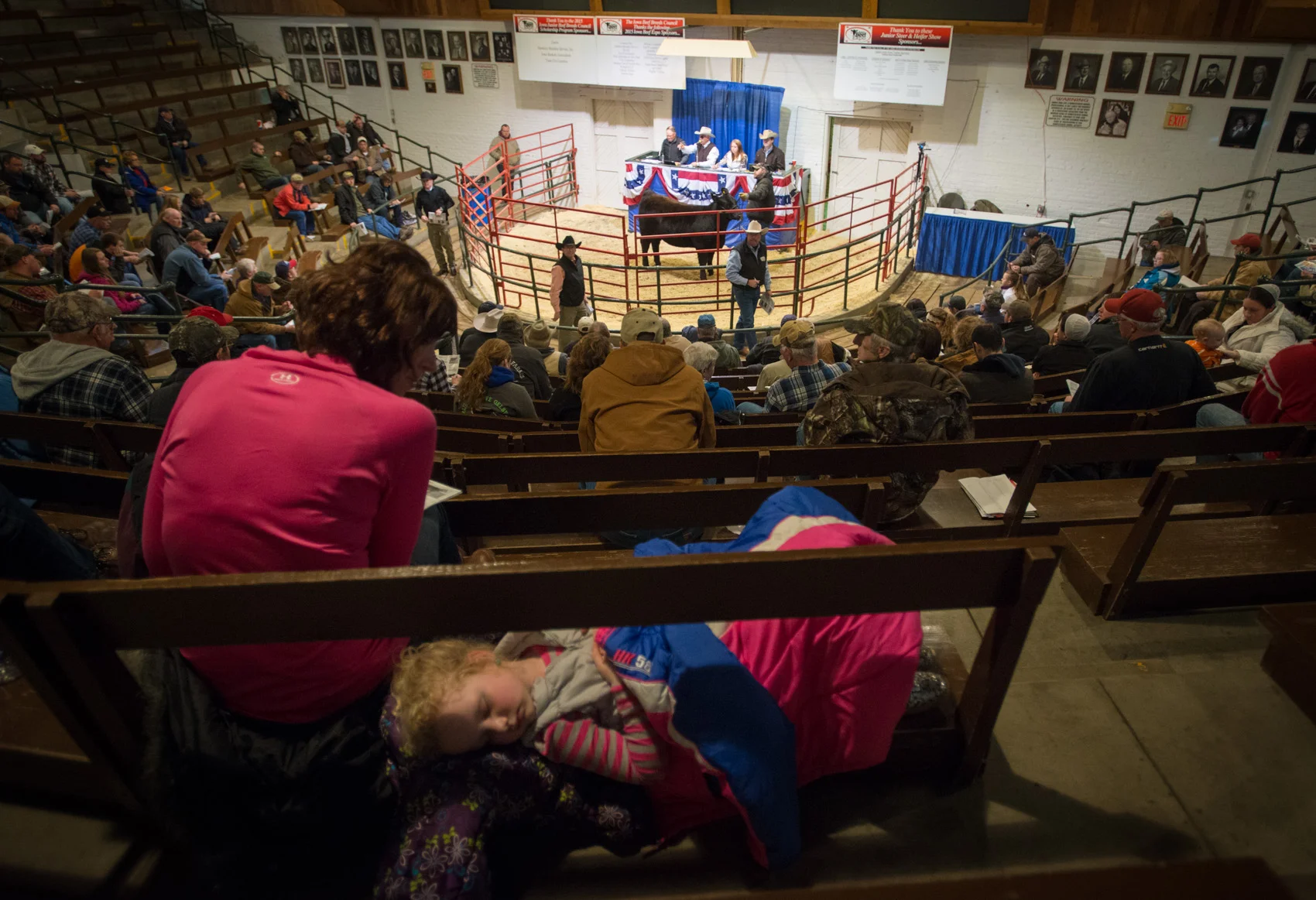 (Photo: Joseph L. Murphy) A girl takes a nap while an auctioneer calls out bids during the Iowa Beef Expo at the Iowa State Fairgrounds in Des Moines yesterday. The Iowa Beef Expo is running through Sunday of this week.&nbsp;(Photo: Joseph L. Murphy)