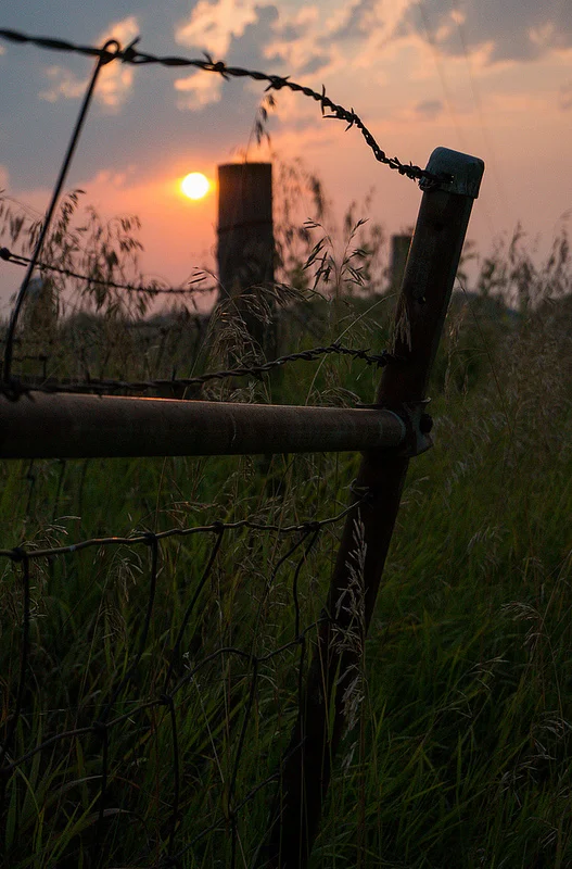 The sun rises over the Iowa countryside. (Photo: Joseph L. Murphy)