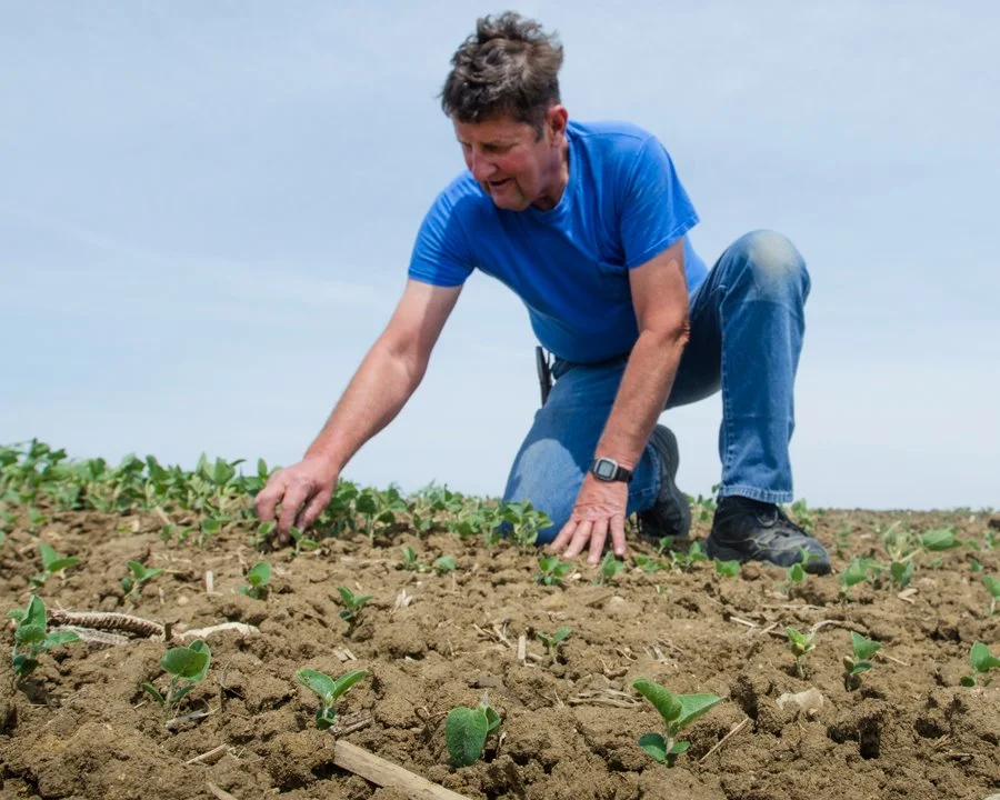 Roger Van Ersvelde checks the conditions of his soybean field. (Photo: Joseph L. Murphy)