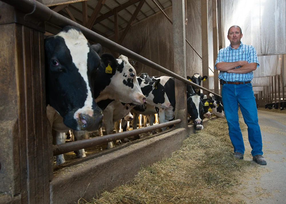 Kelly Cunningham, a Managing Partner of Milk Unlimited Dairy Farms in Atlantic, worries that drought conditions will continue to impact the dairy industry. (Photo: Joseph L. Murphy)