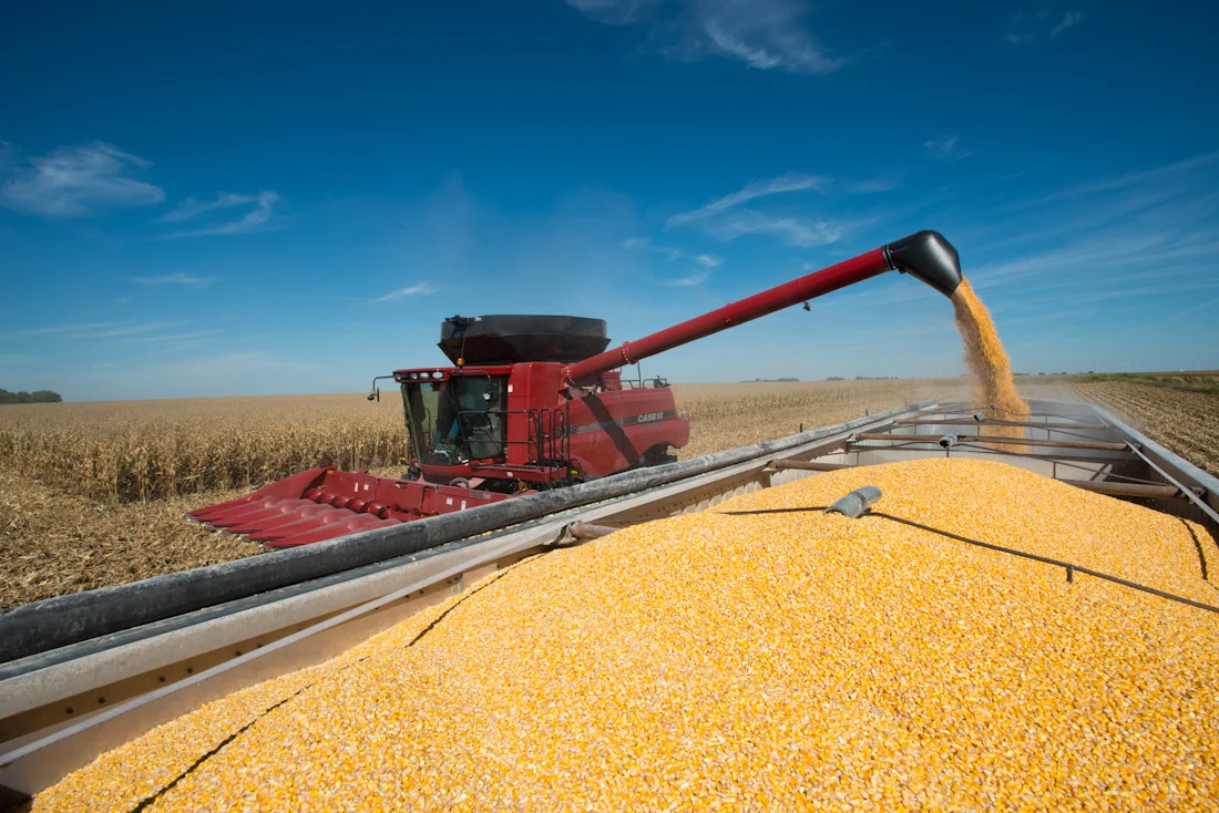 A combine unloads corn into a trailer near Webster City. Acting Assistant Administrator of EPA’s Office of Water Nancy Stoner and others toured farms and conservation areas near Webster City recently. (Photo: Joseph L. Murphy)