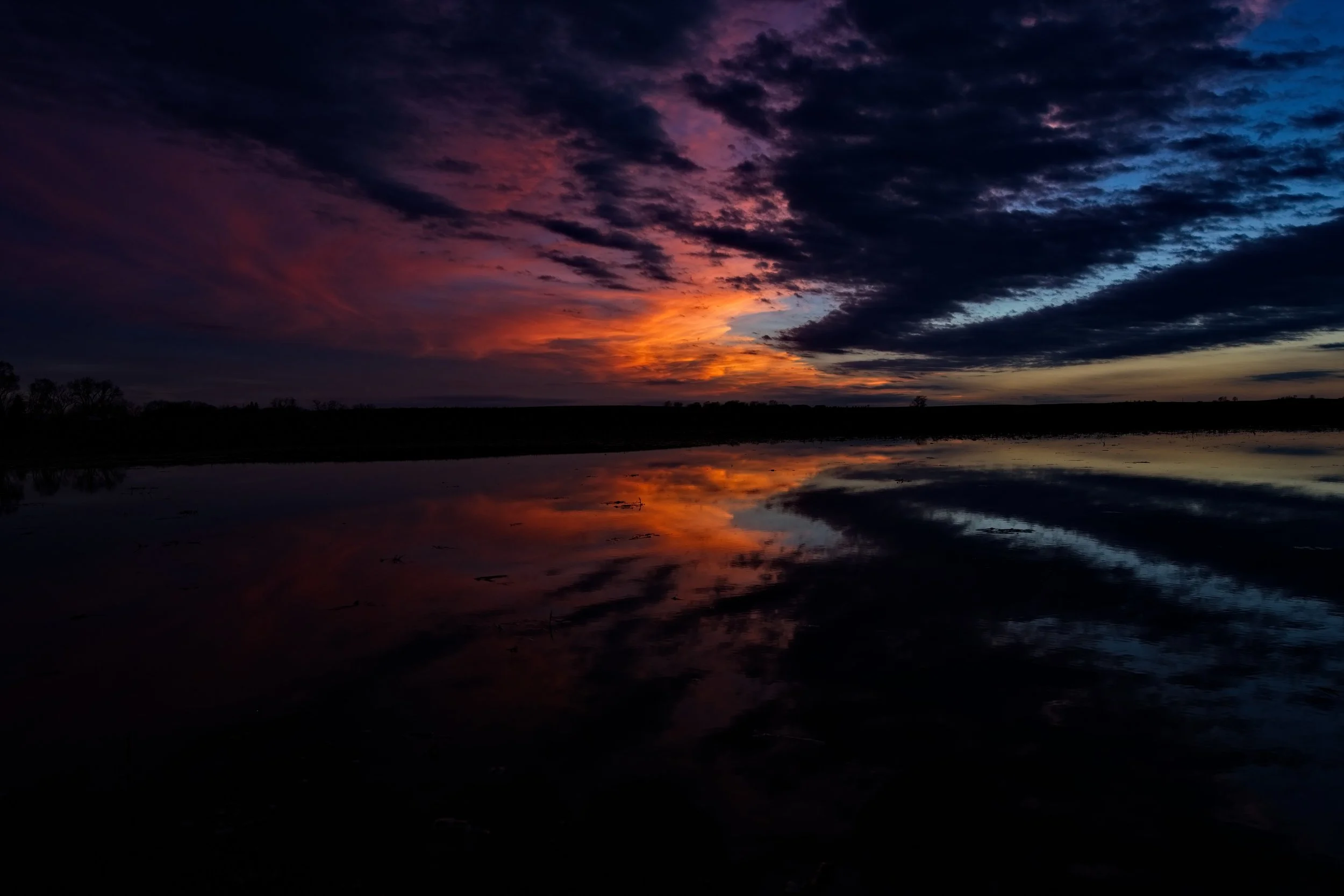 Photo by Joseph L. Murphy