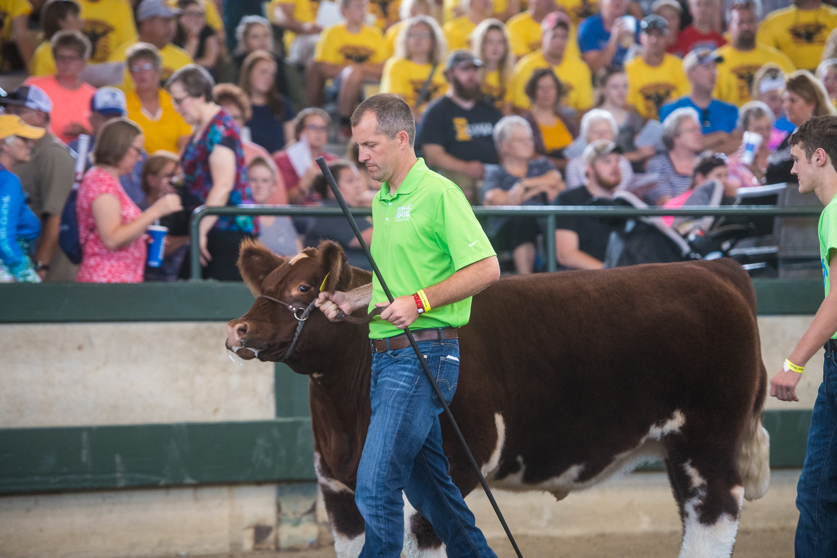 Governor's_Steer_show-8051.jpg