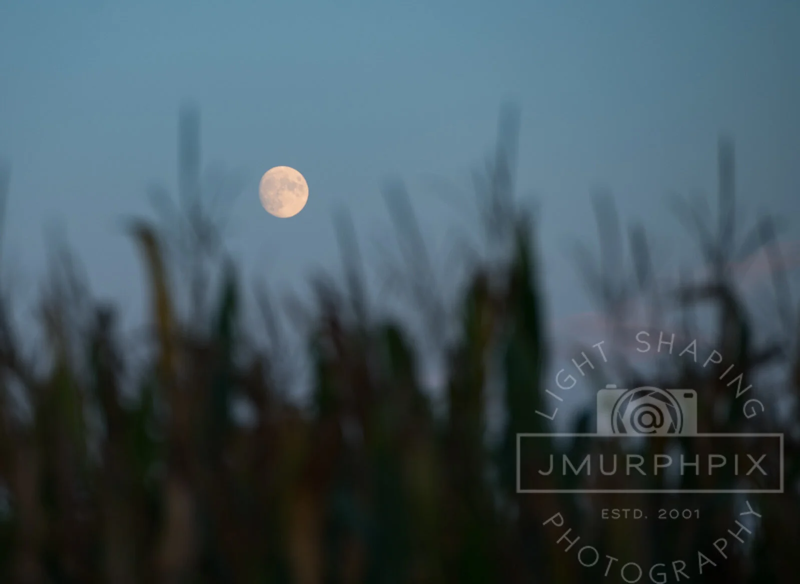      

 
  The full moon ascends over a corn field in central Iowa.
 






















     