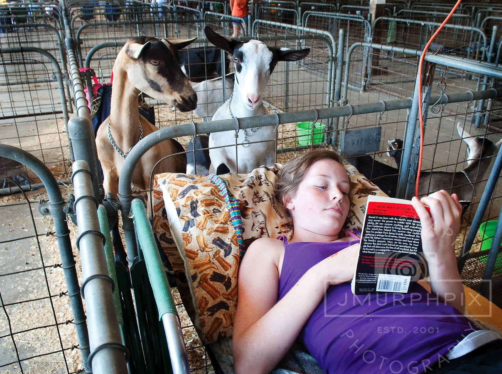  Allie Wisgerhof, Van Meter, reads a book while two curious dairy goats look over her shoulder last week at the Iowa State Fair in Des Moines. Wisgerhof was showing for 4-H and in the Open Show. 