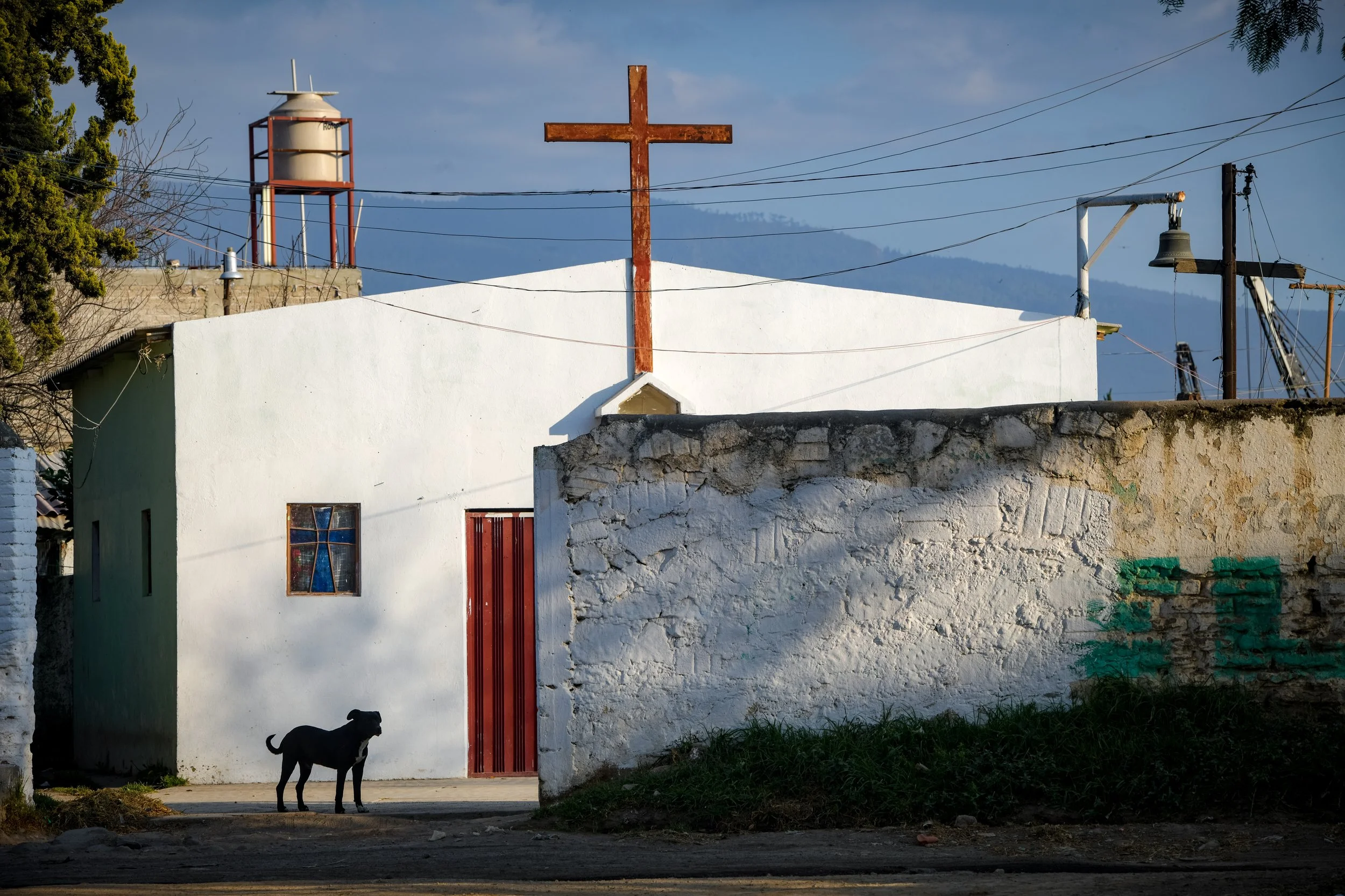 Dog and the Cross