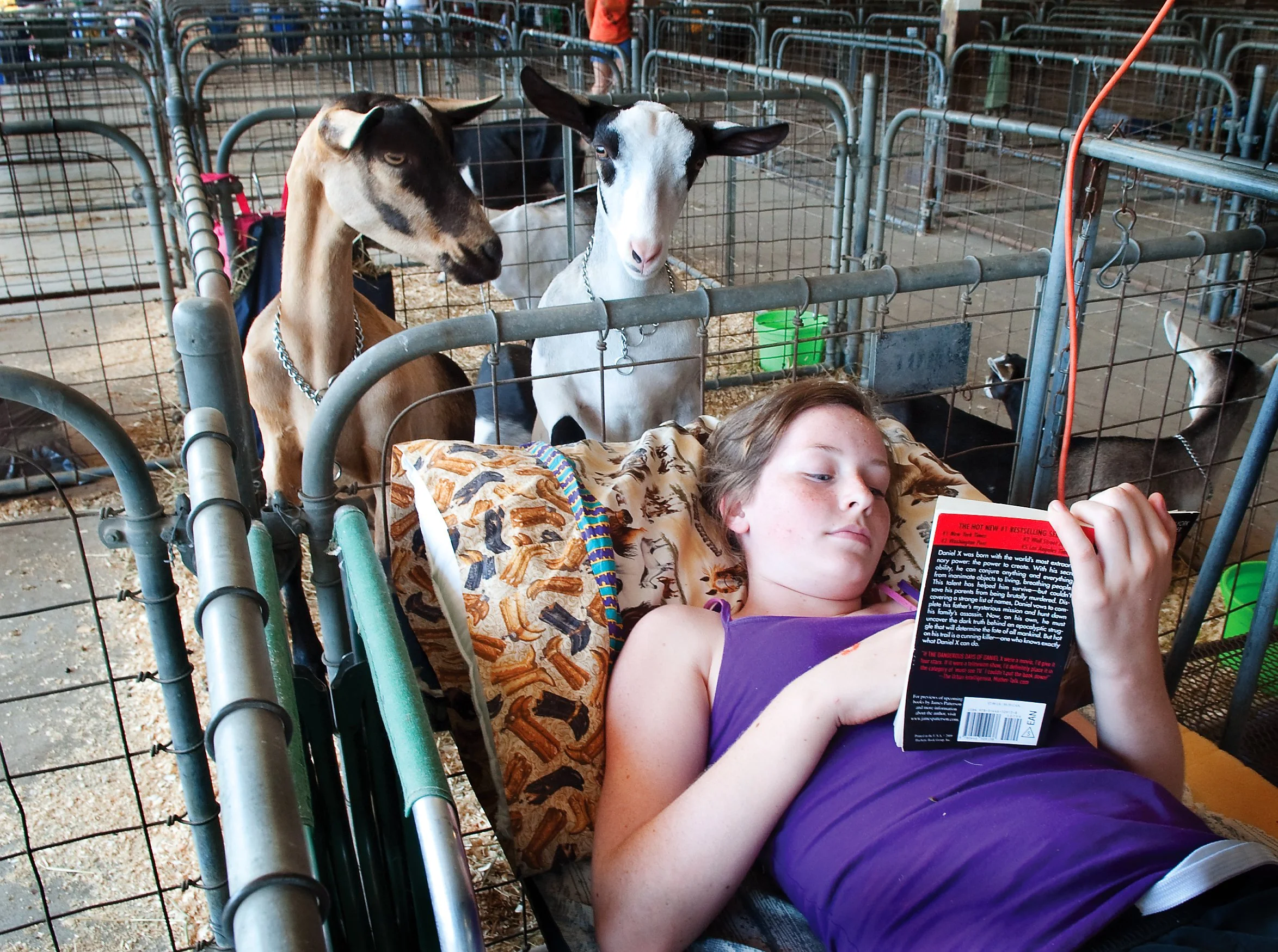 reading-with-the-goats_4911018964_o.jpg