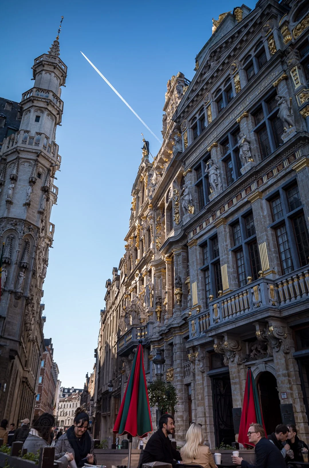 21 for 21-1000111.jpg