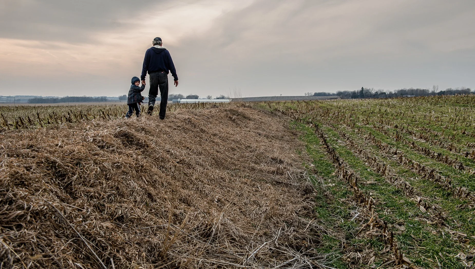 Mark Jackson cover crops-5197.jpg