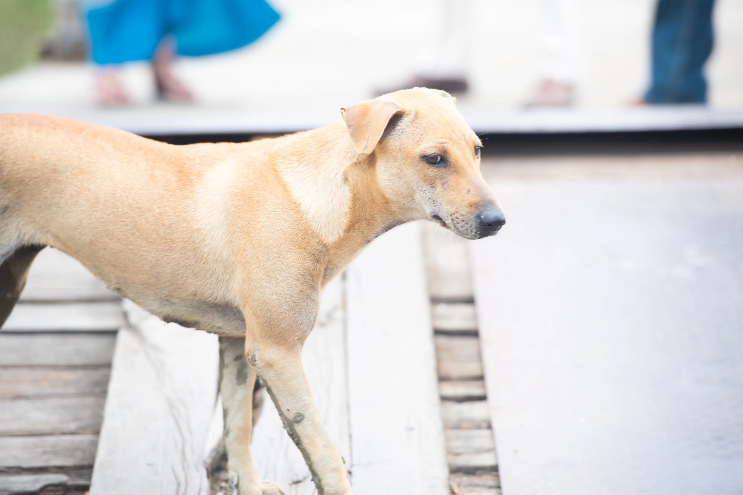 As seen in Myanmar-2-3.jpg
