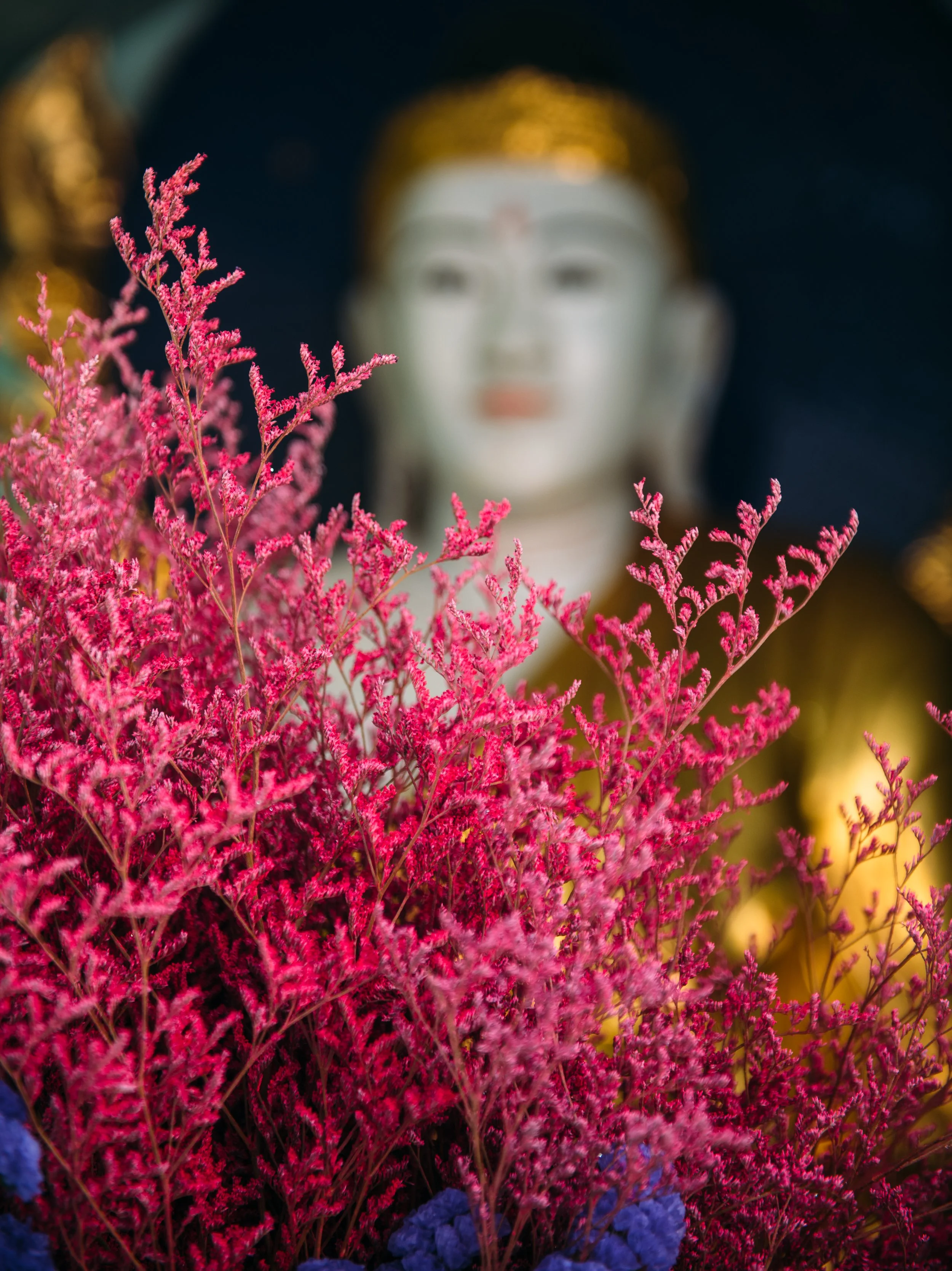 Shwedagon Pagoda-7105.jpg