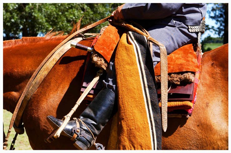 gaucho-horse-and-rider_379364629_o.jpg
