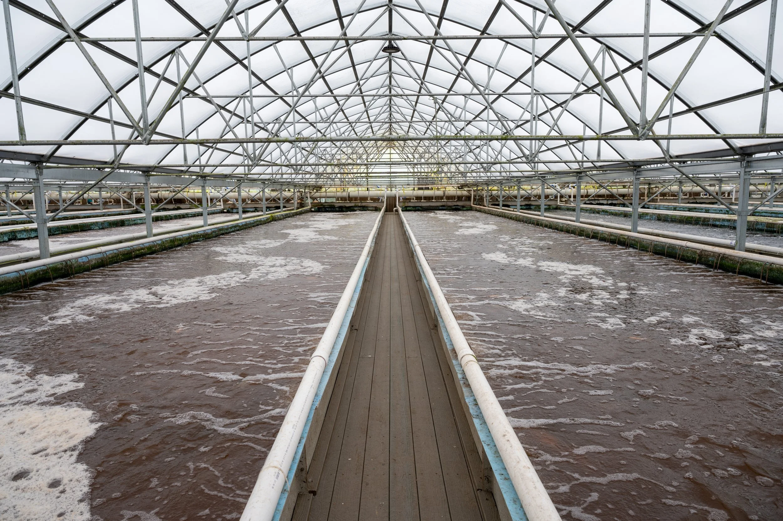 Nothing Fishy Here: U.S. Soy Protein Feeds Aquaculture, Grows Demand