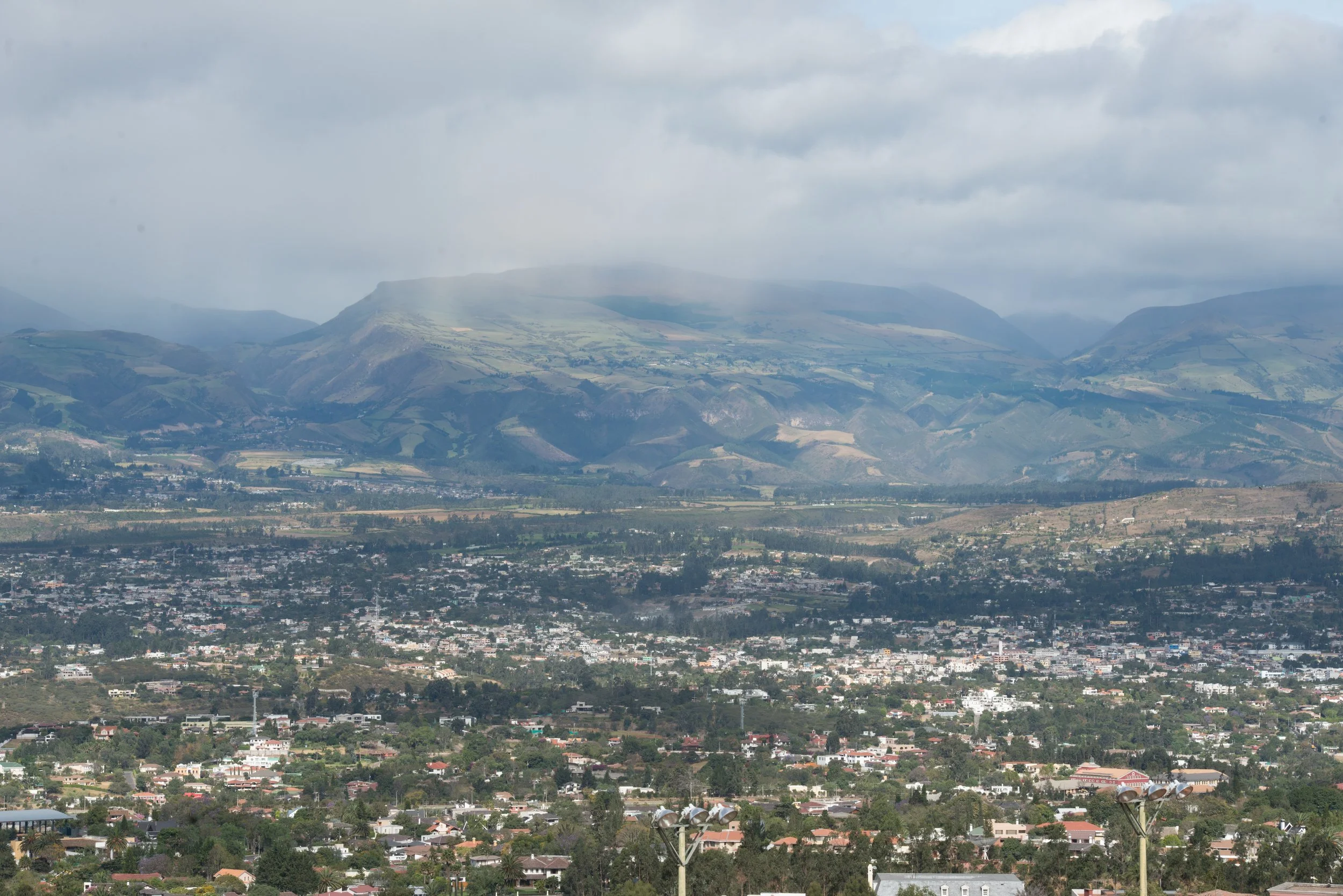 Preference, Value, Accessibility: 15 Years with U.S. Soybean Export Council