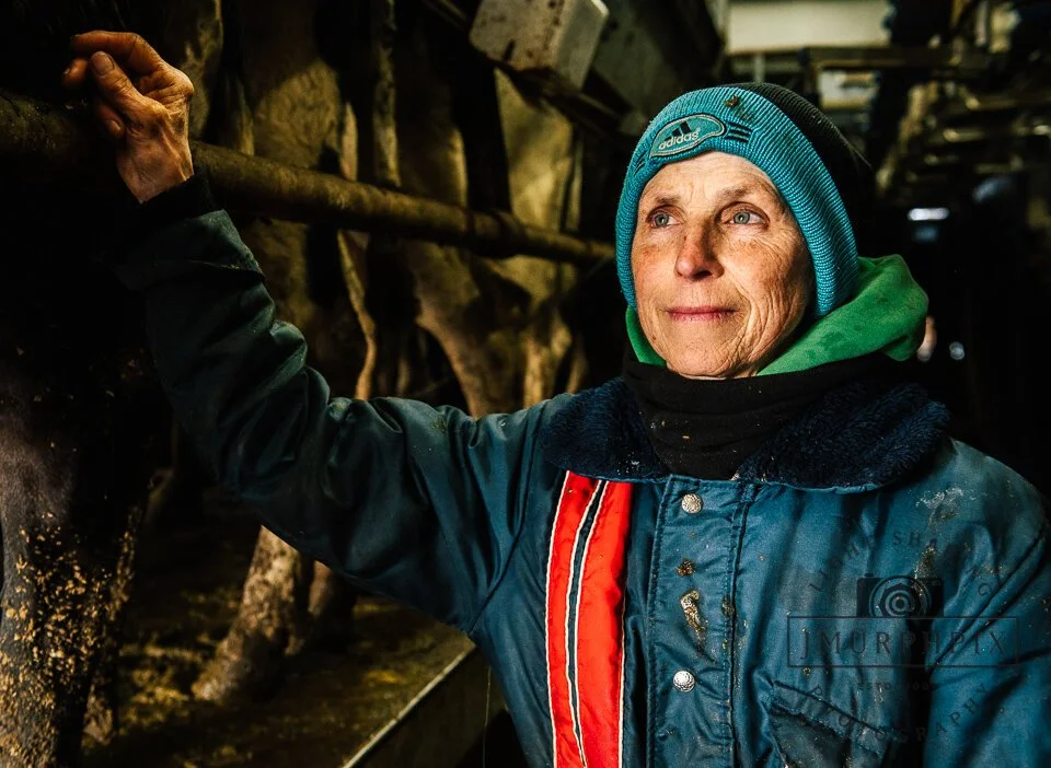 Dairy farmers face losses during COVID-19