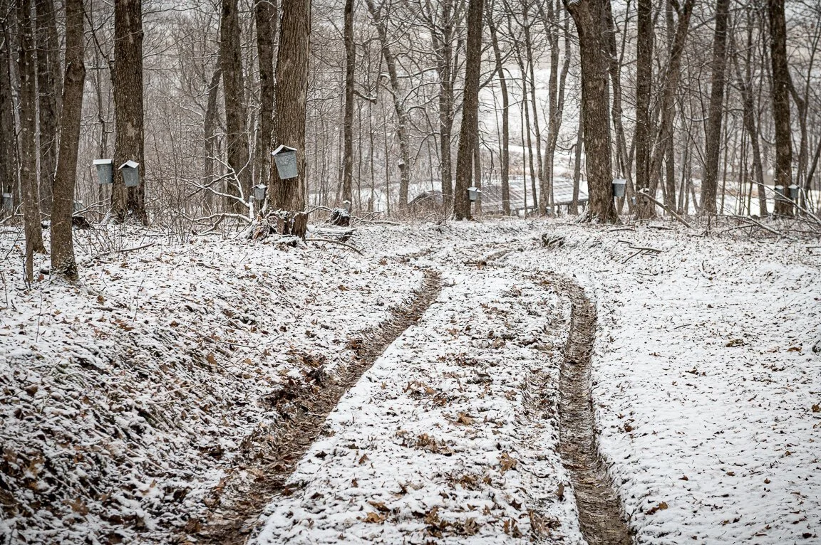 Artisans continue sweet syrup tradition
