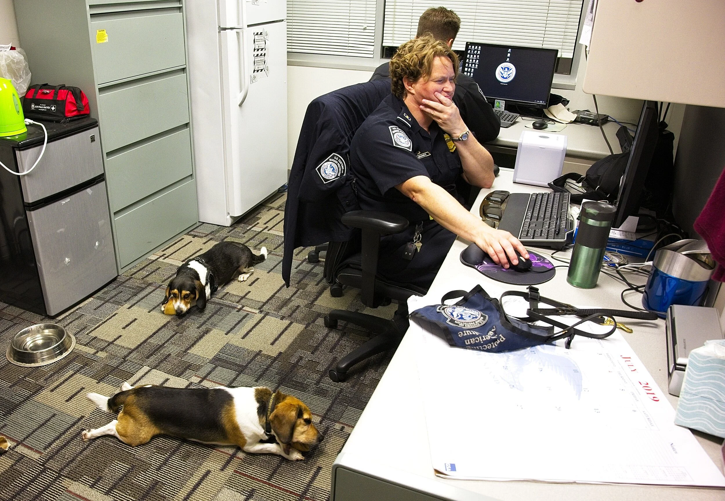 Beagle Brigade - Four-legged friends deployed to protect our food system