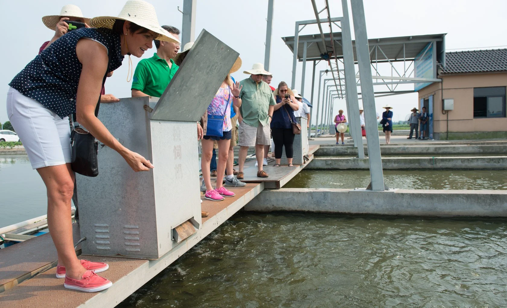 Global aquaculture transformed thanks to investment by the Iowa Soybean Association
